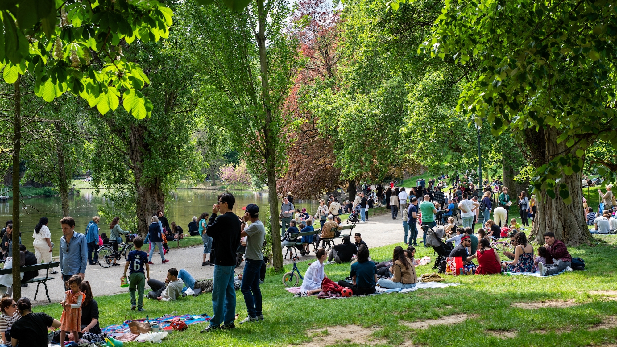 shutterstock-2620190653