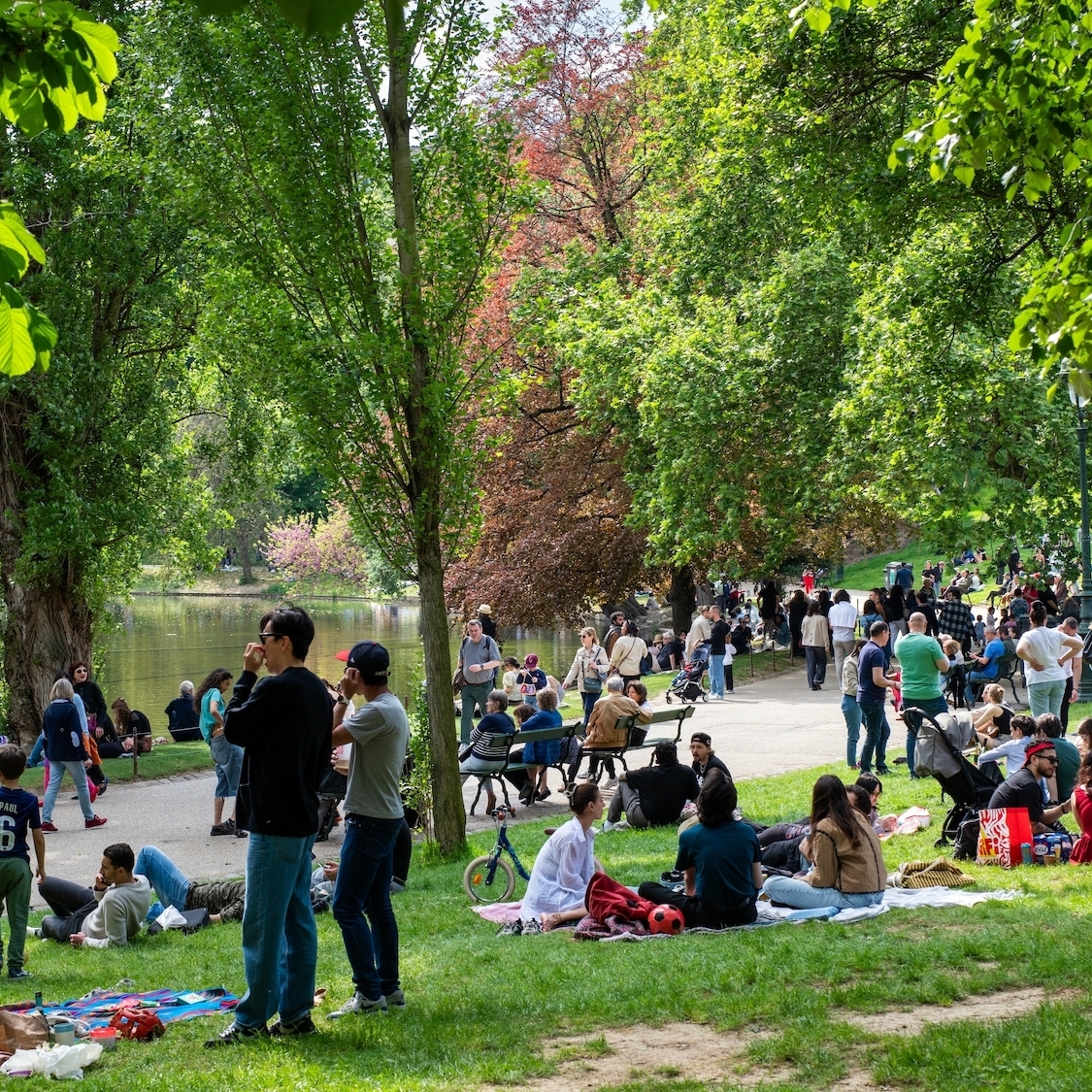 shutterstock-2620190653