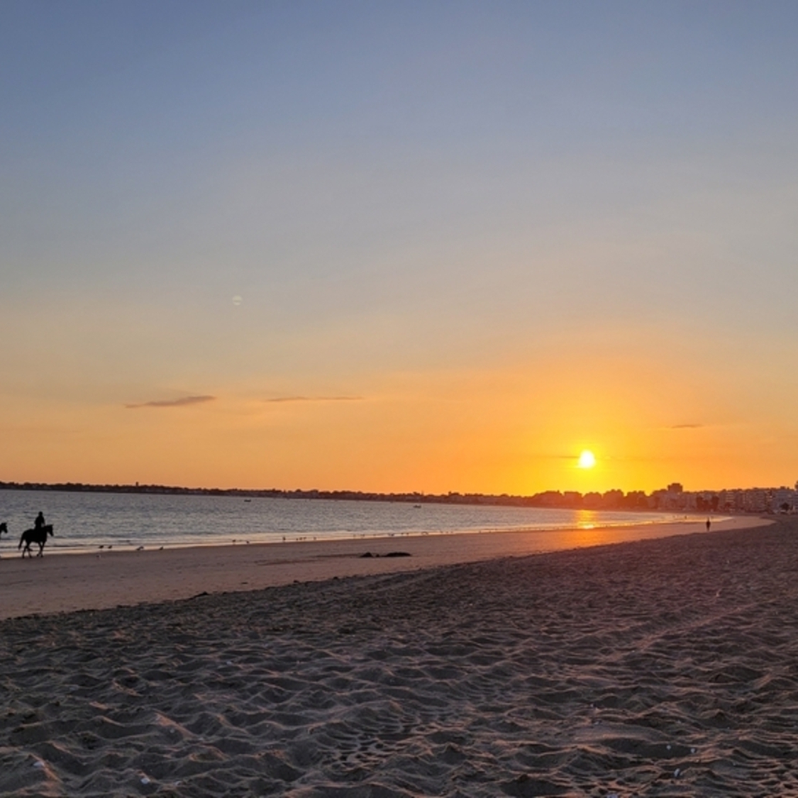 À 1h de Nantes, cette plage élue préférée des célibataires : pic de rencontre les dimanches à 18h plage-la-baule-ok