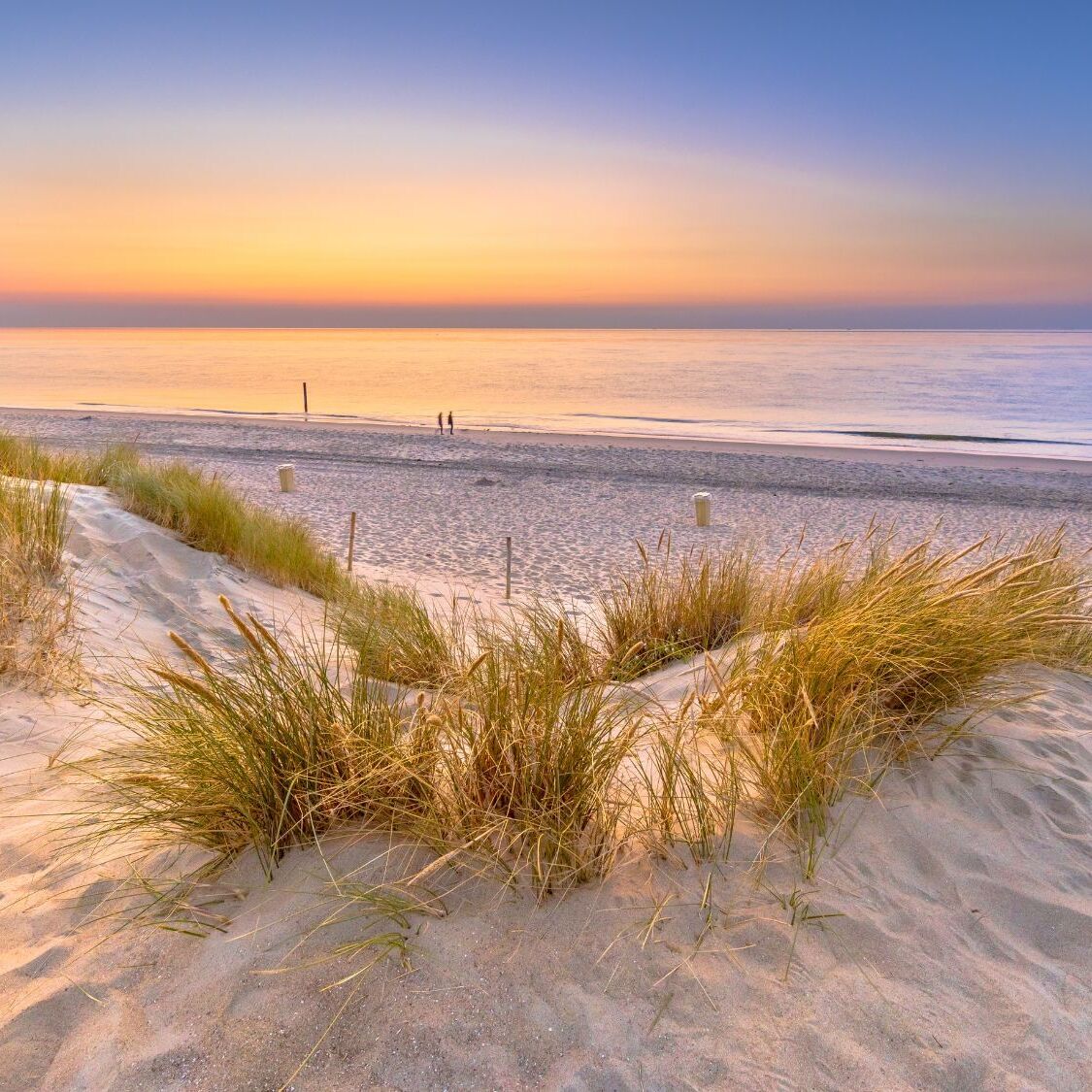 À 2h de Lille, cette plage est l'un des meilleurs spots de France pour faire des rencontres cet été plage-dune-coucher-soleil