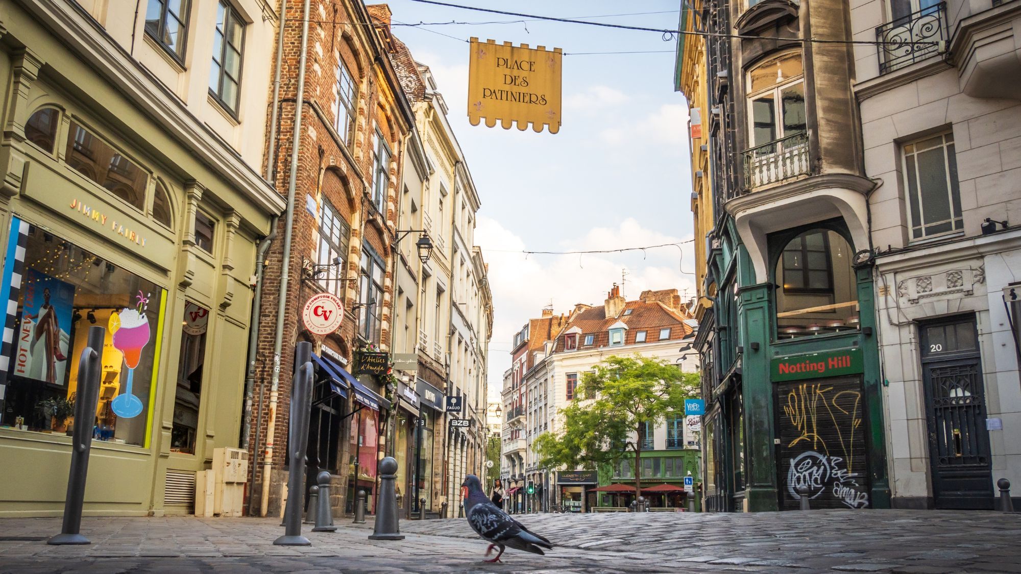 vieux-lille-rue-boutiques-paves-pigeon