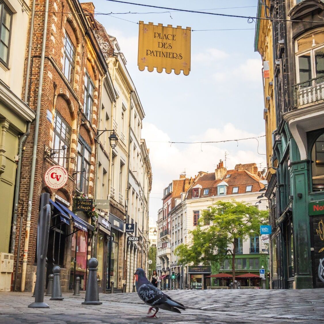 Encore une fermeture dans le Vieux-Lille : cette enseigne emblématique baisse le rideau après 13 ans vieux-lille-rue-boutiques-paves-pigeon