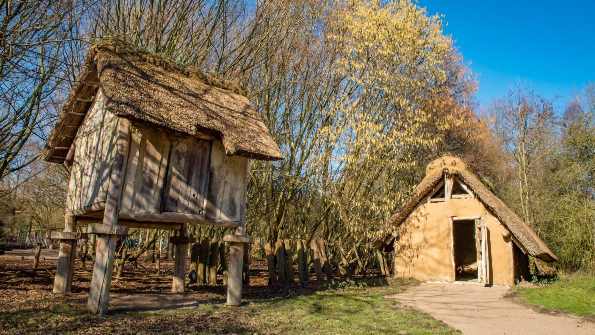 maisons-prehistoriques-cabanes-arbres