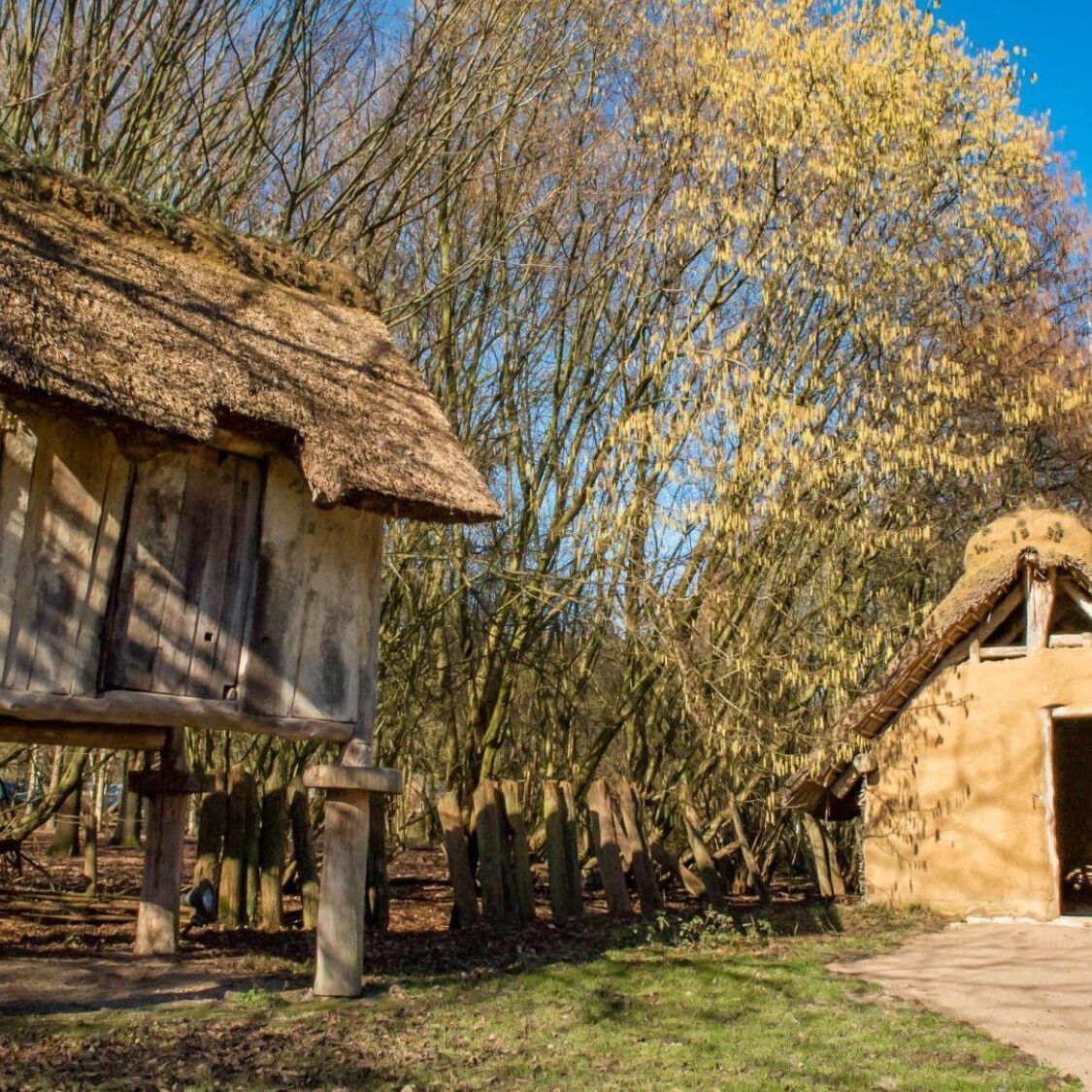 maisons-prehistoriques-cabanes-arbres