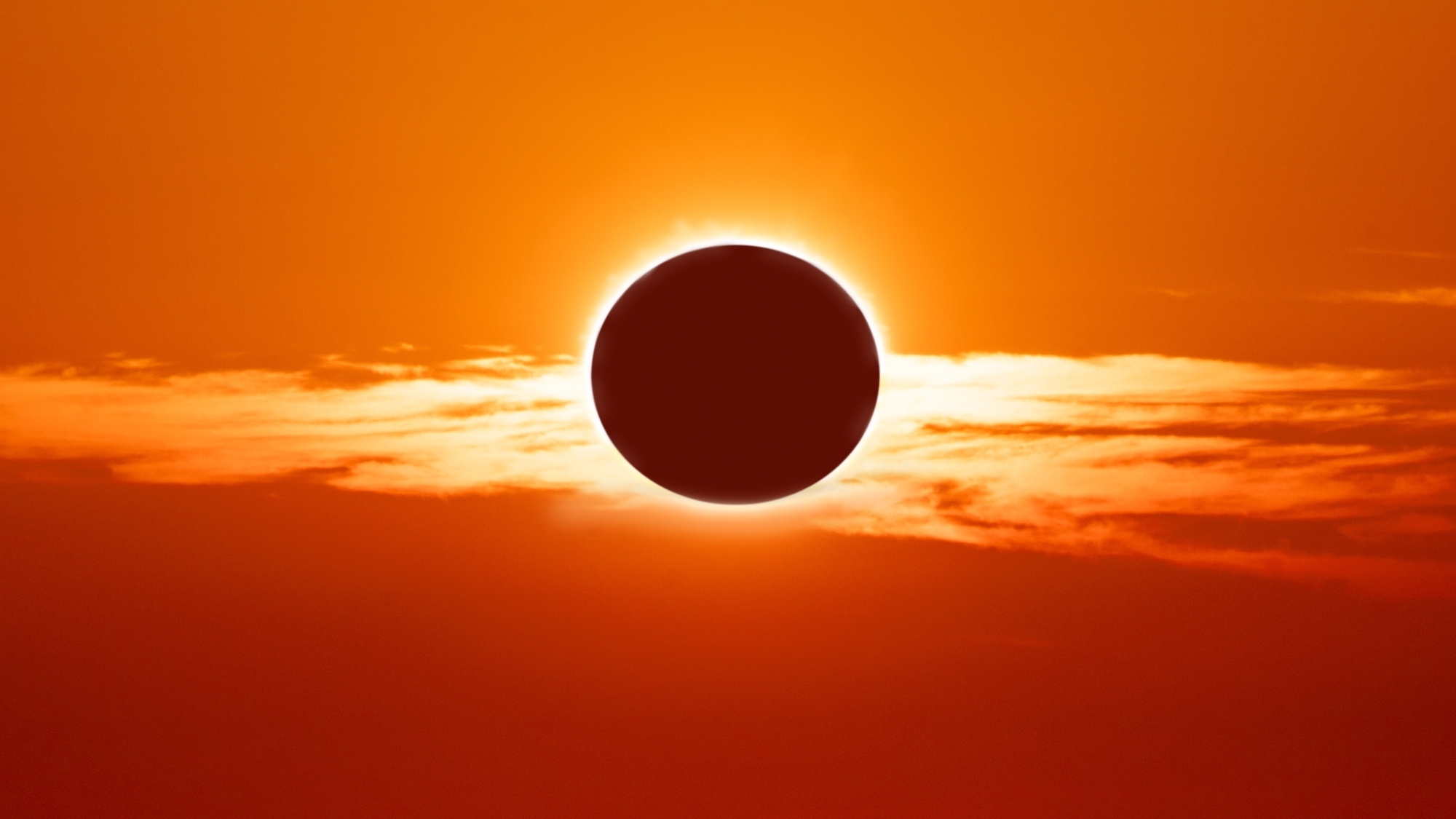 shutterstock-2793554403