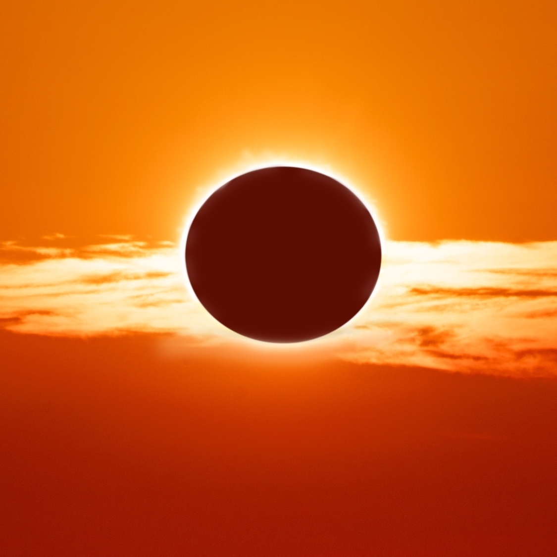 shutterstock-2793554403