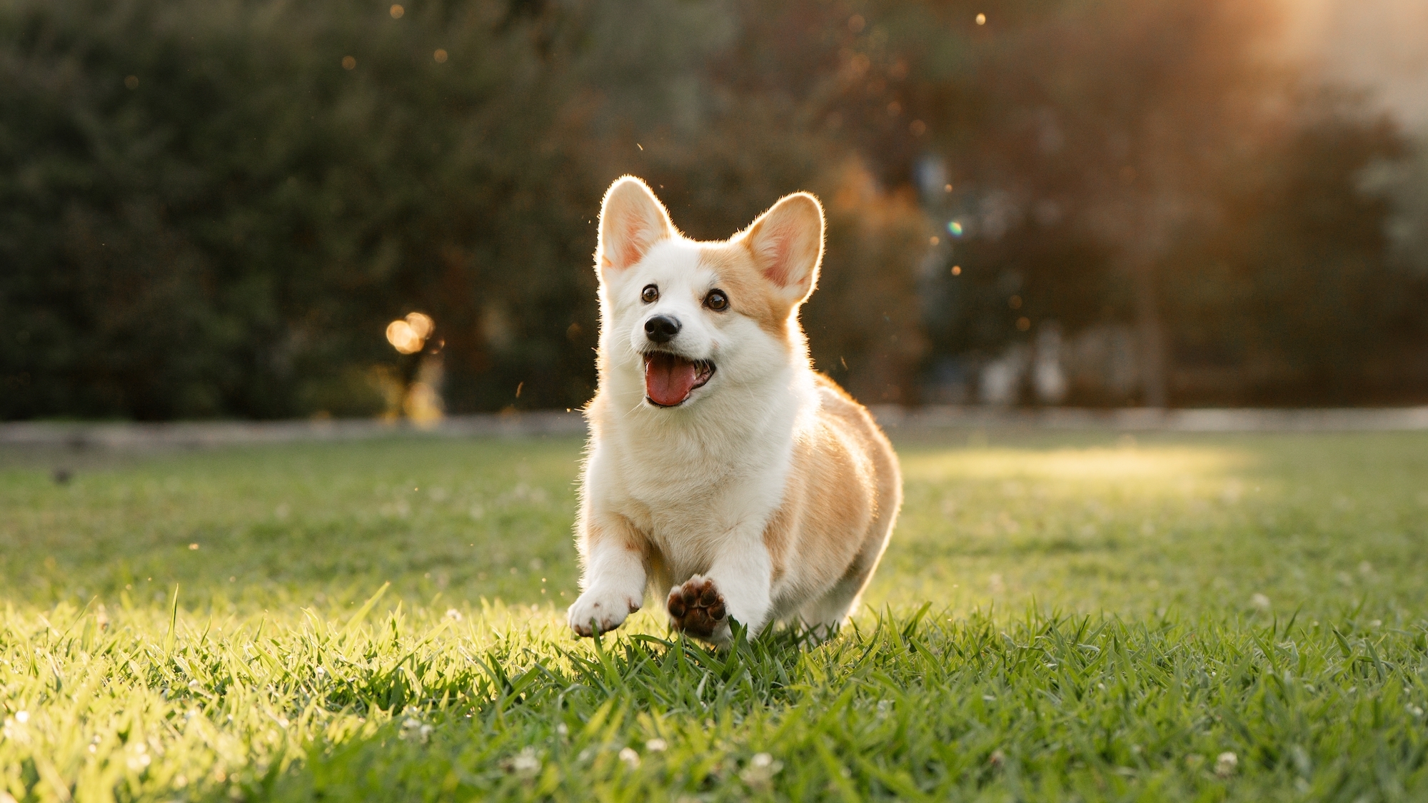 shutterstock-2665800487