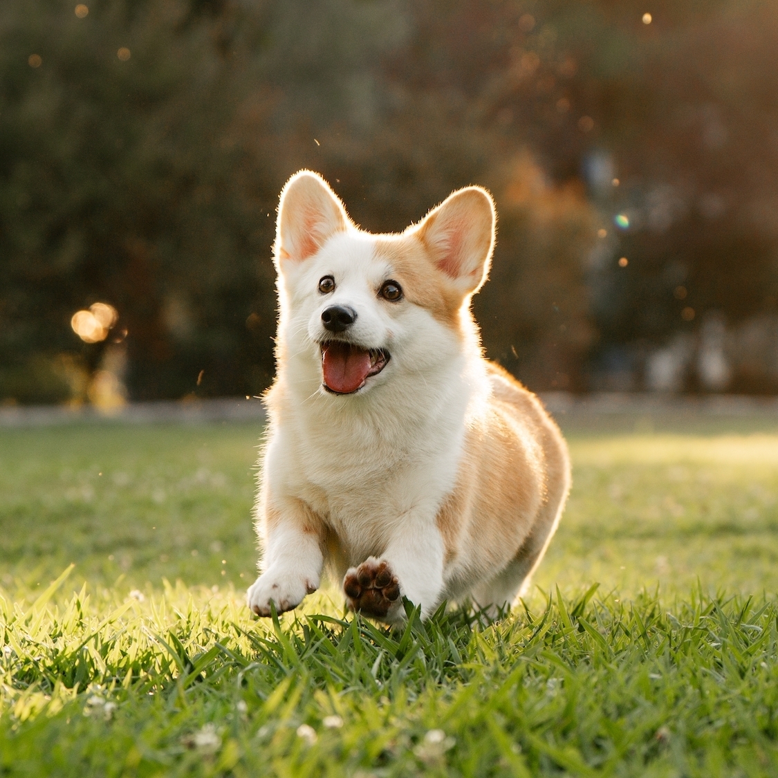 shutterstock-2665800487