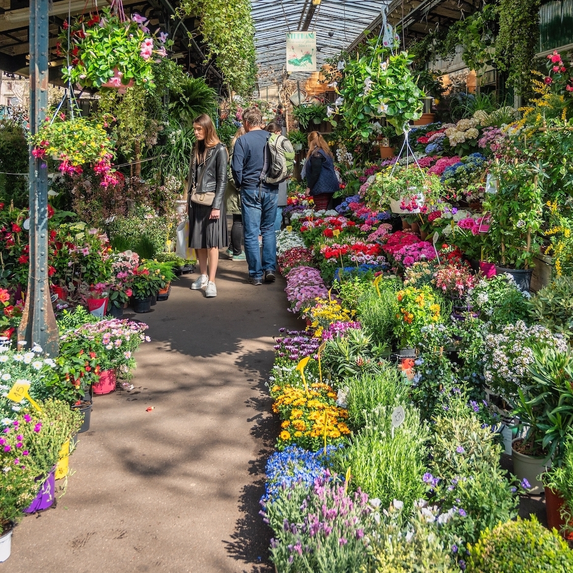Ce magnifique marché aux fleurs est le plus vieux de la capitale shutterstock-2413383659