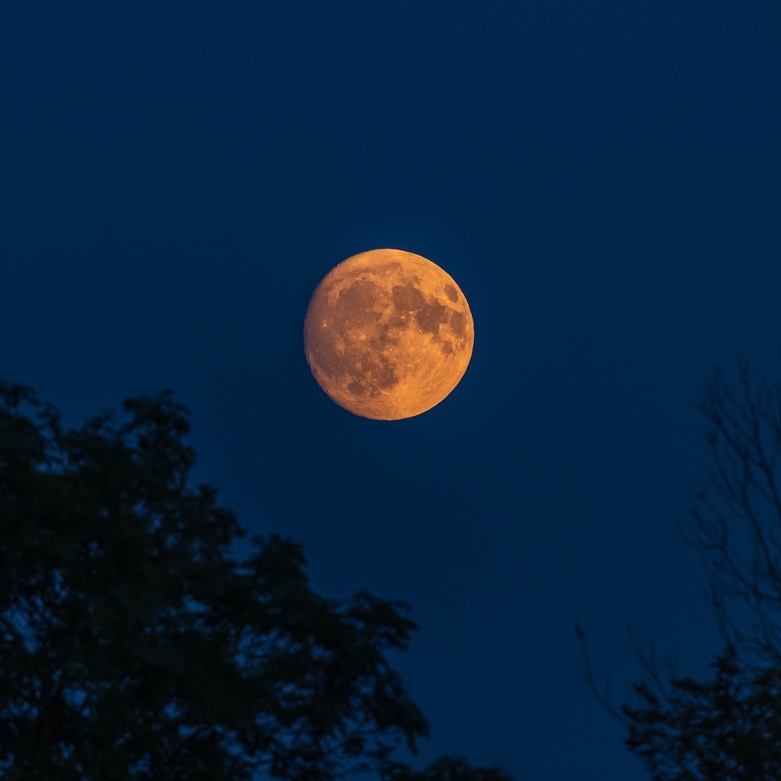 La prochaine Pleine Lune sera doublée d’une éclipse shutterstock-2493888889