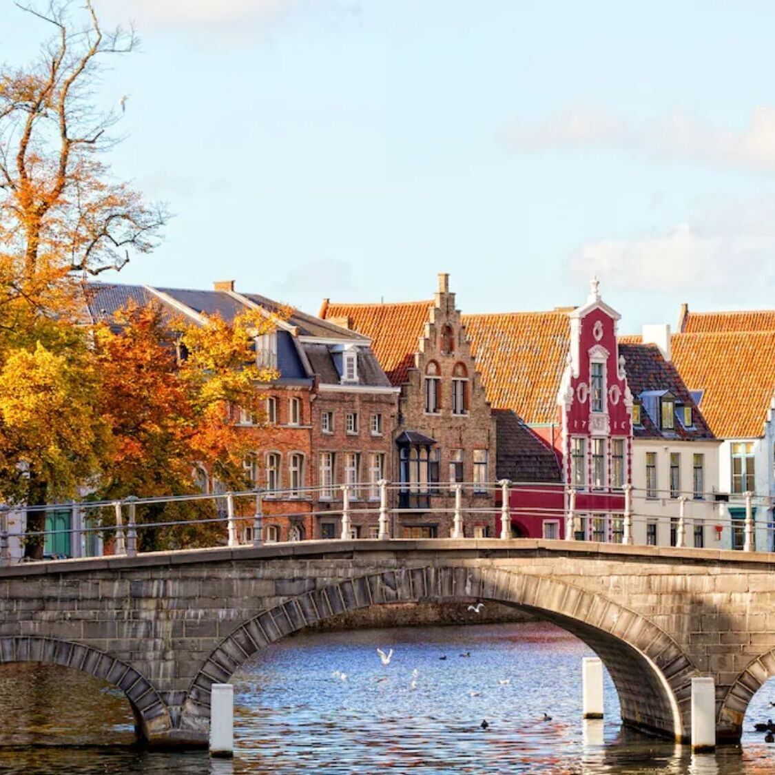 maisons-flamandes-canal-pont