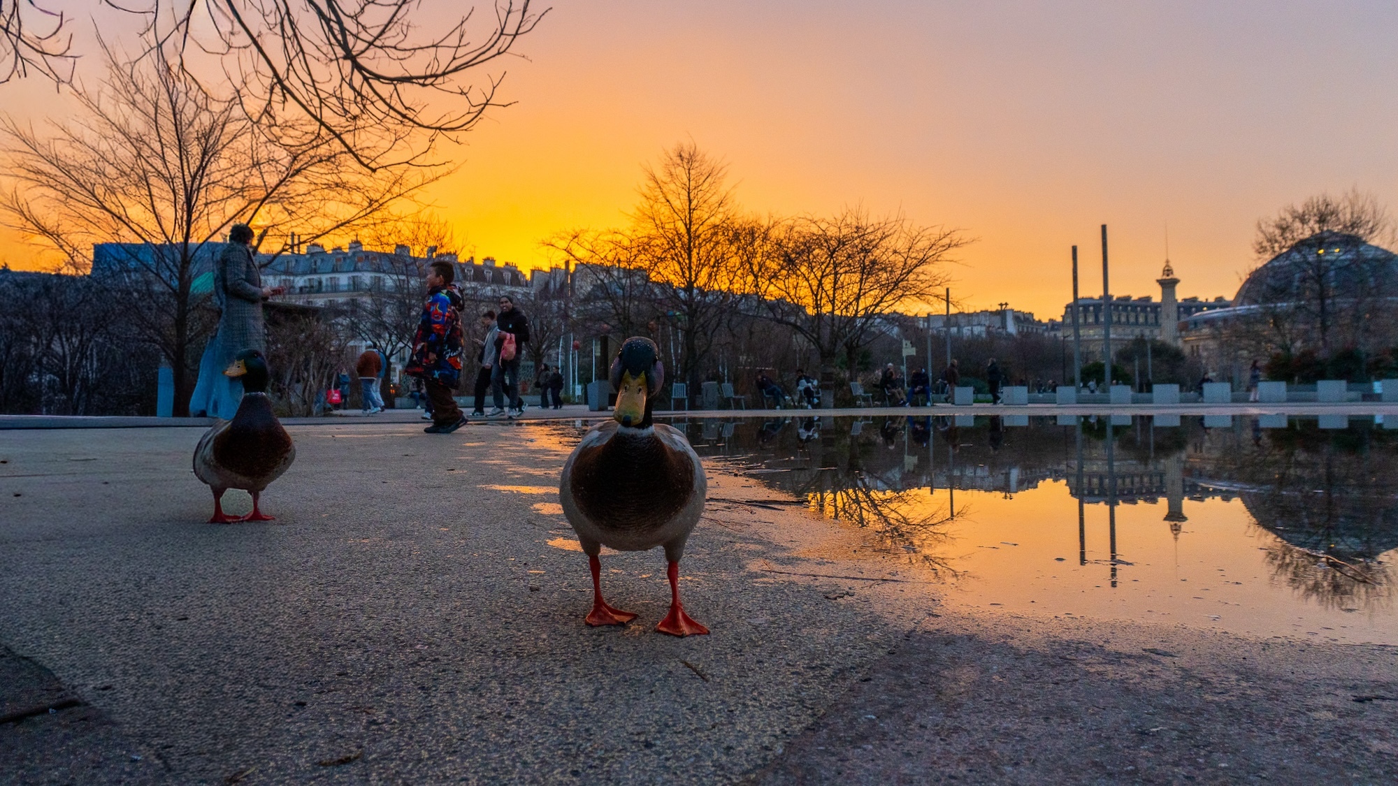 paris-creditjagodabartus-lebonbon