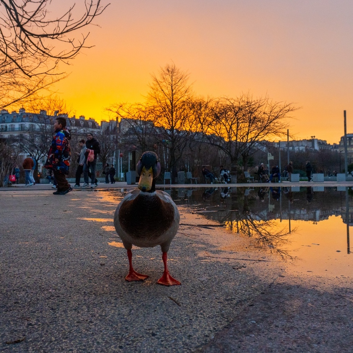 paris-creditjagodabartus-lebonbon