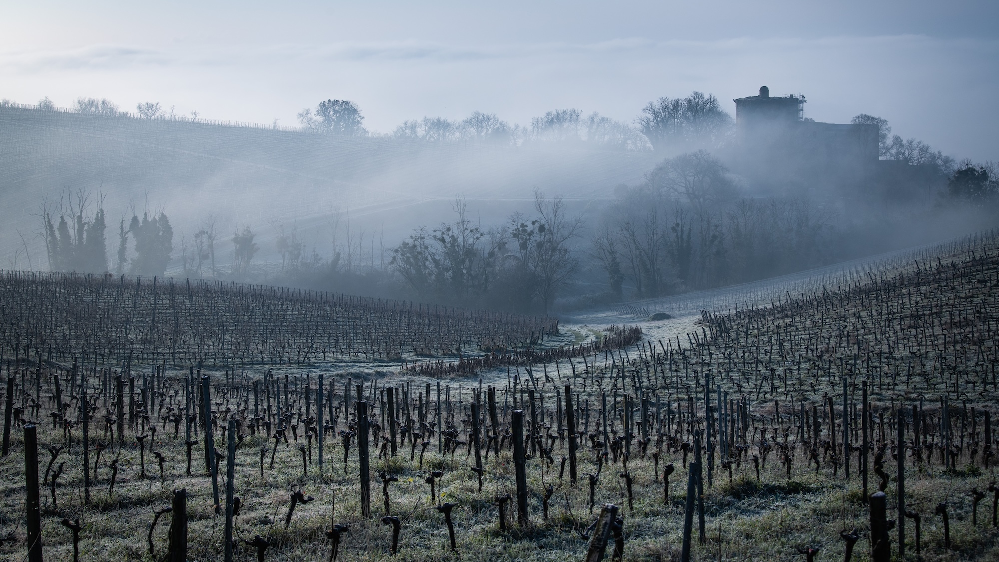 Idée de génie : une start-up française invente le parapluie de protection pour les vignes parapluie-vignes