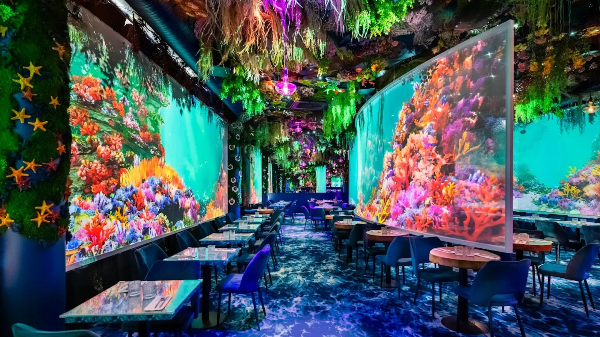 under-the-sea-montpellier