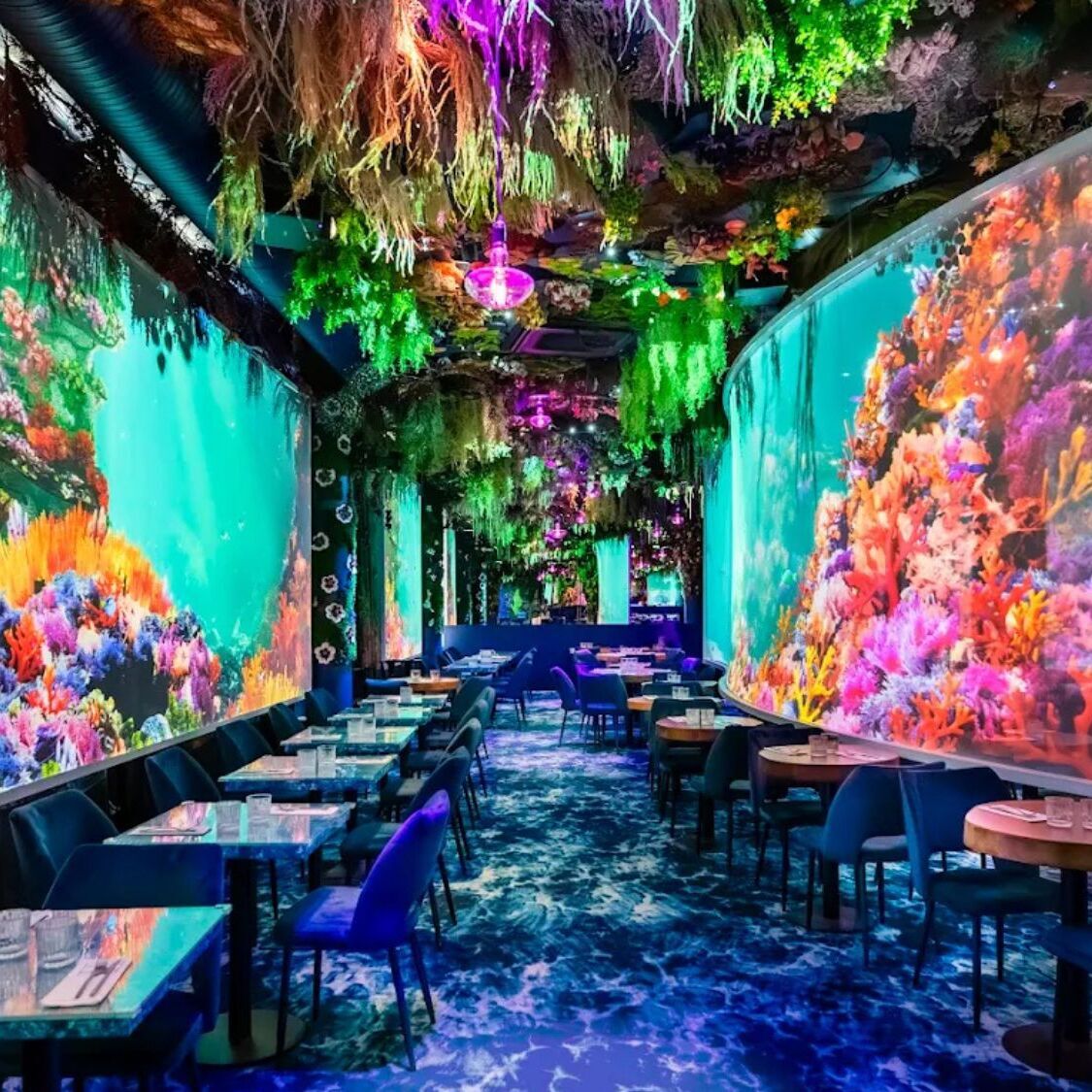 under-the-sea-montpellier