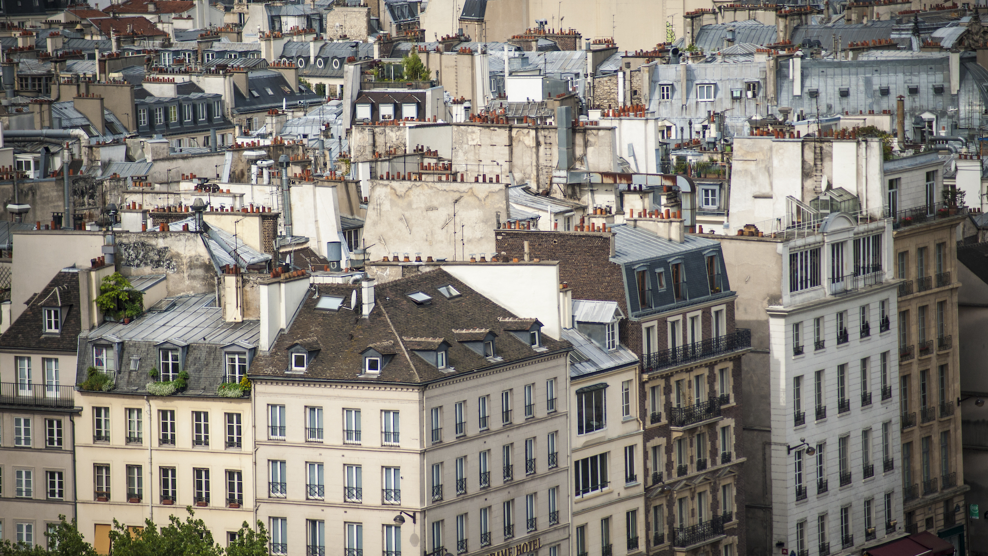 shutterstock-130295909