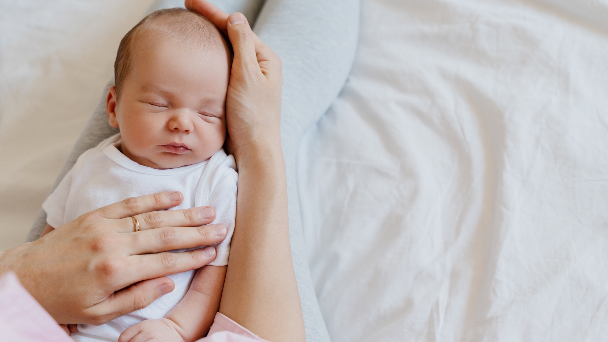 shutterstock-2614630991