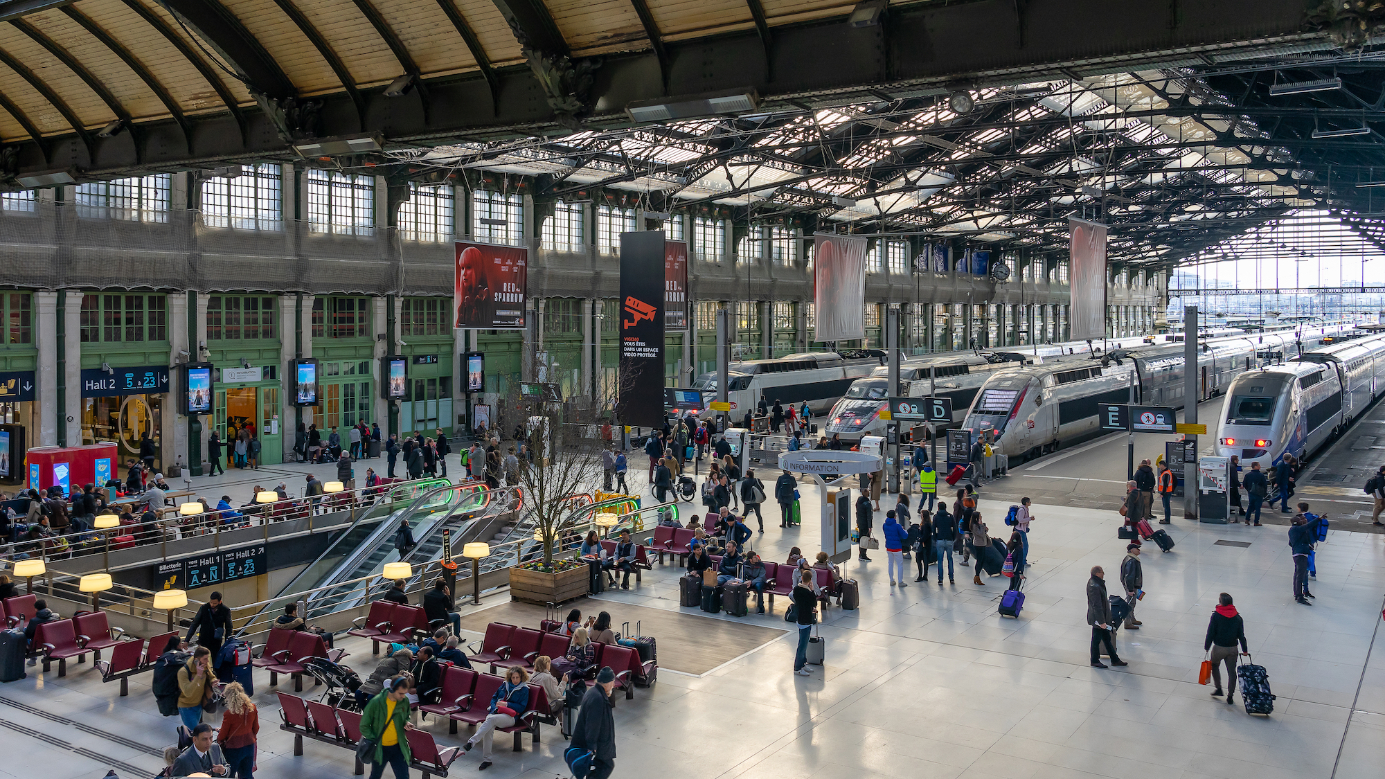 shutterstock-1489015844