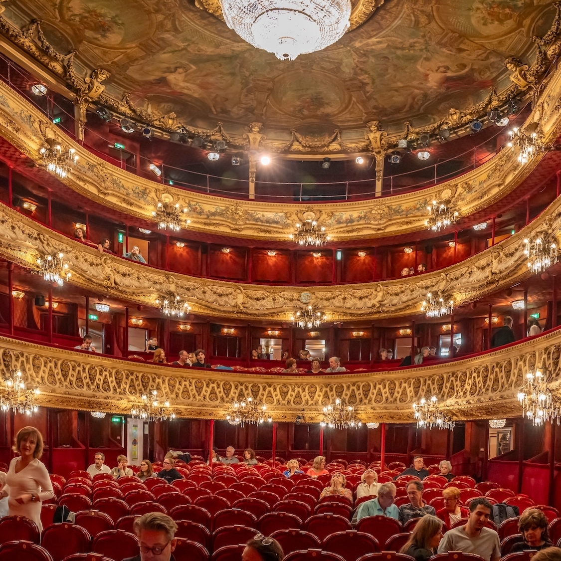 shutterstock-2536806203