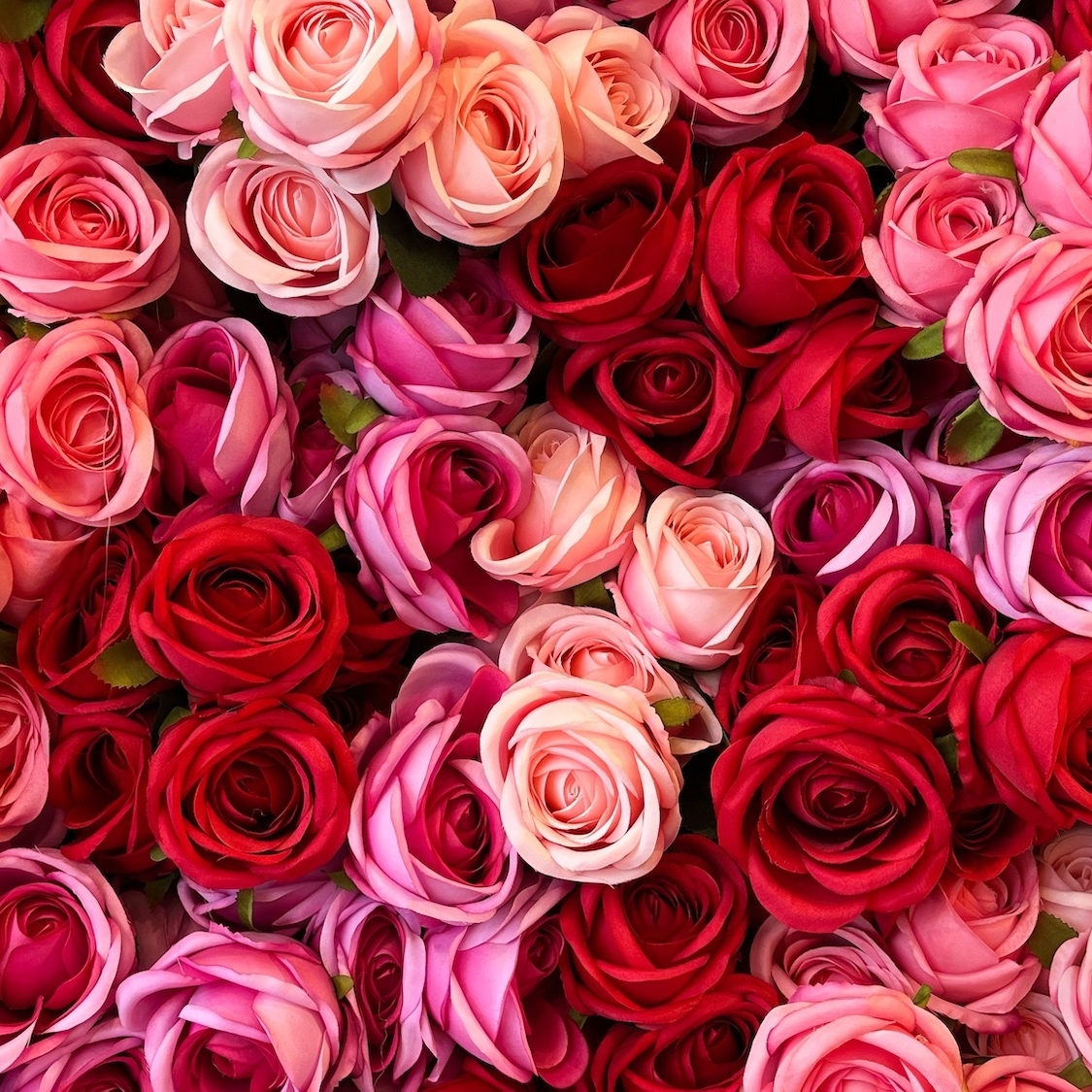 saint-valentin-fleuriste-lyonnais-refuse-vendre-ro