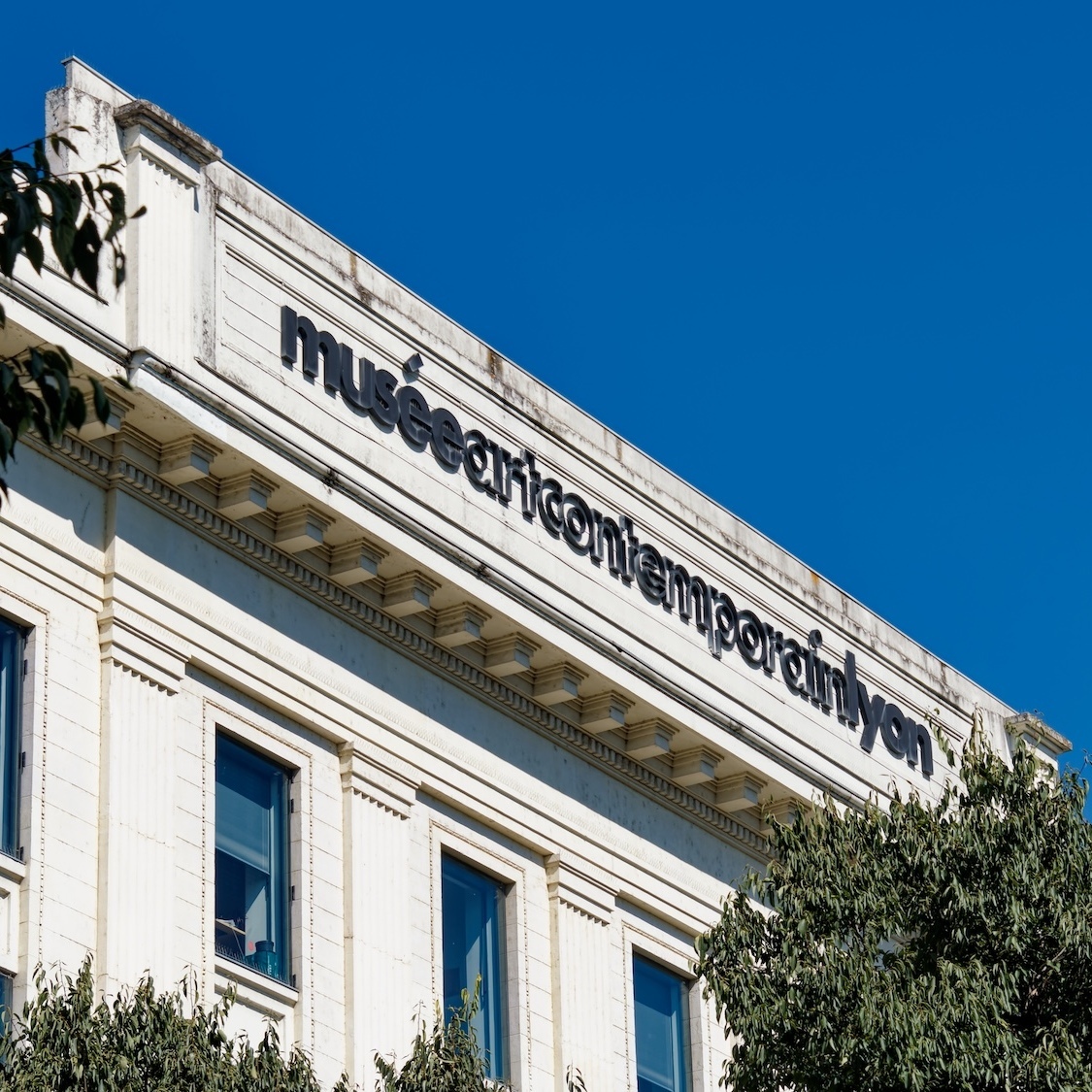 maire-lyon-tarif-libre-musees