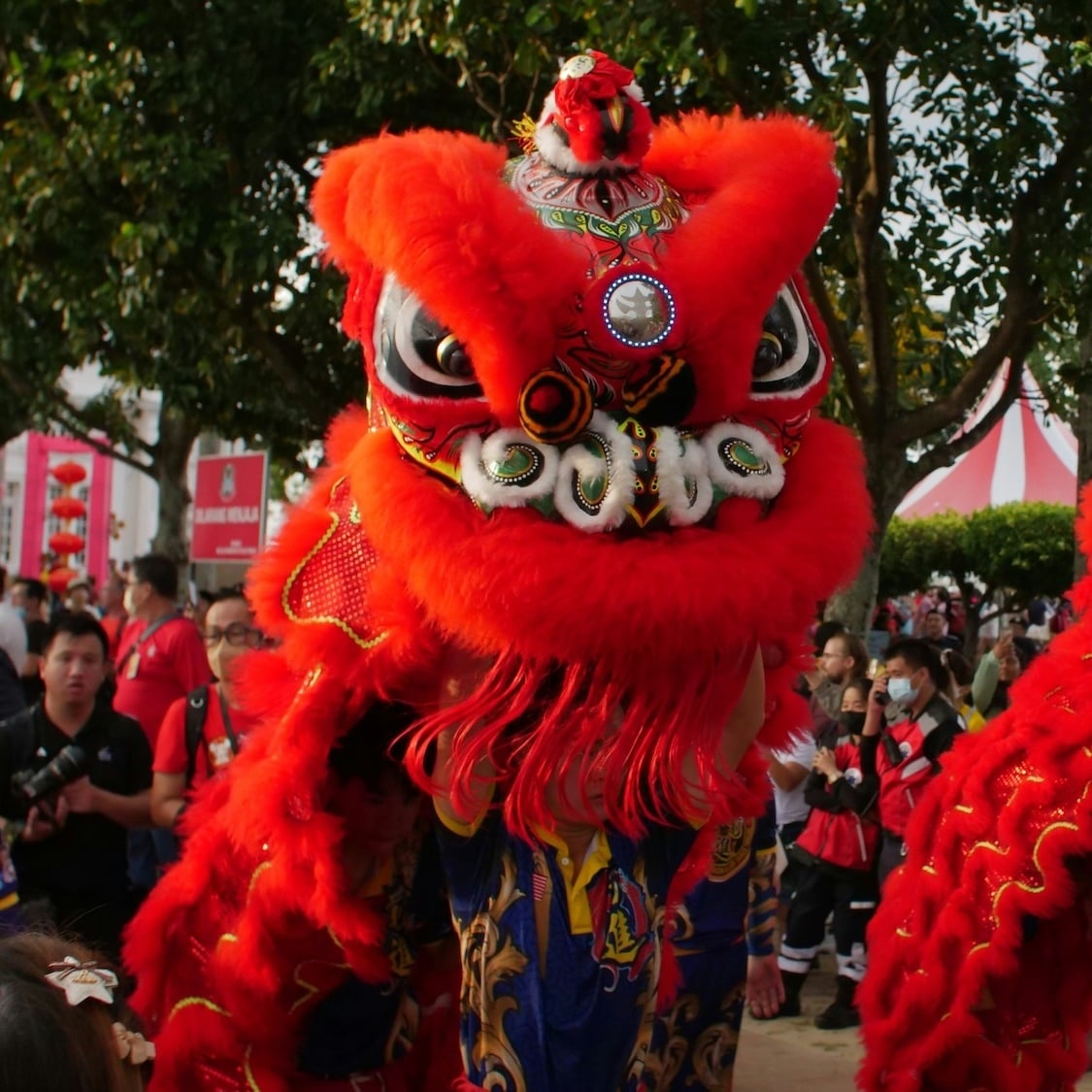 kelvin-zyteng-dpompok1zwk-unsplash