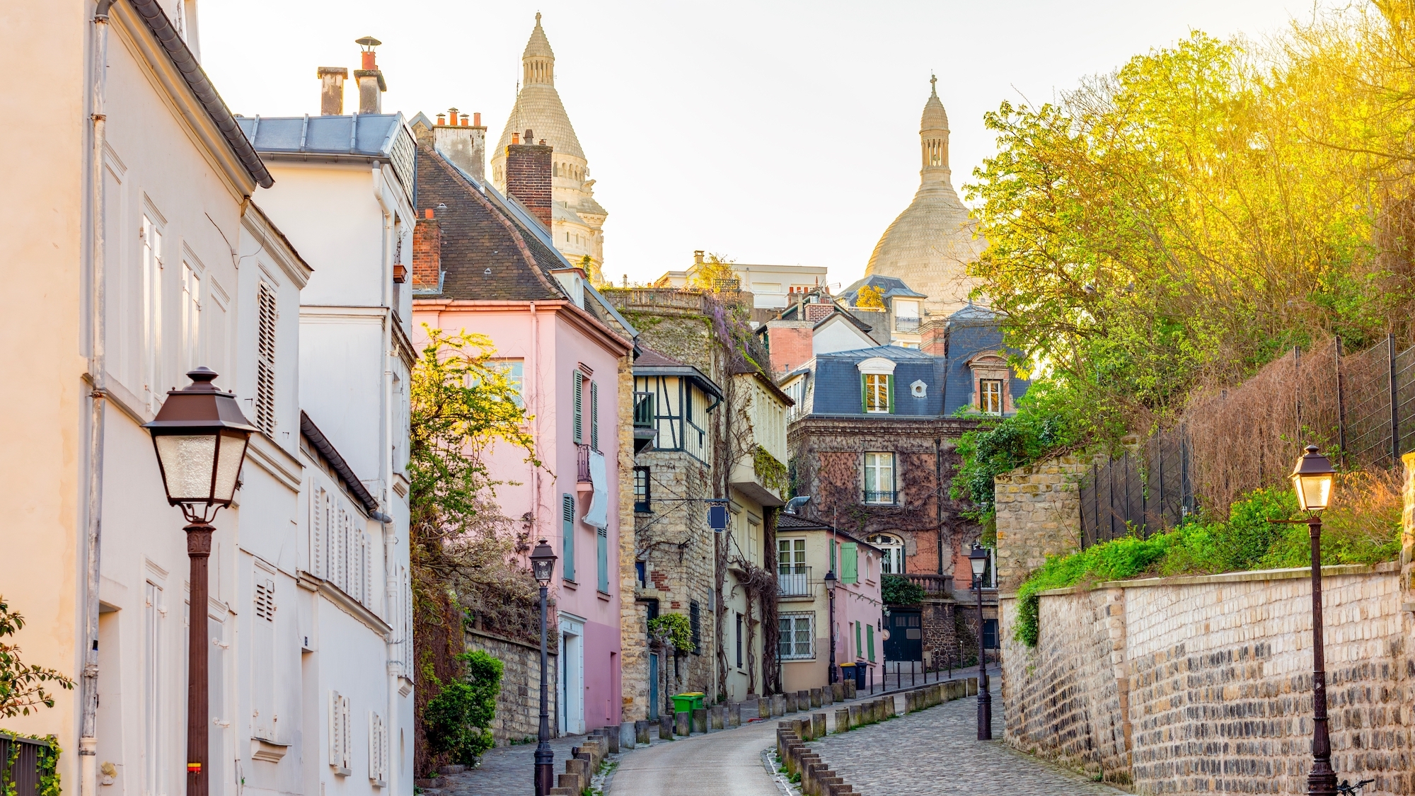 shutterstock-2628057953