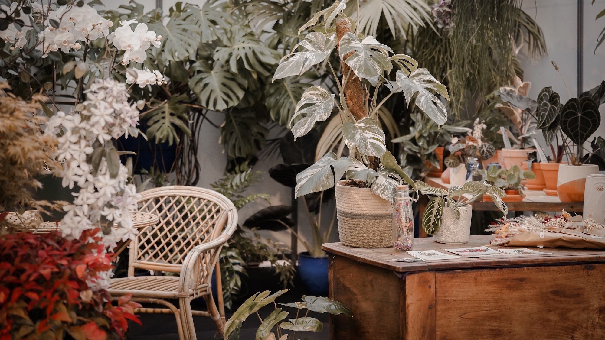 Un salon de 10 000 m2 dédié à l'habitat & la déco s'installe à Bordeaux habitat-bordeaux