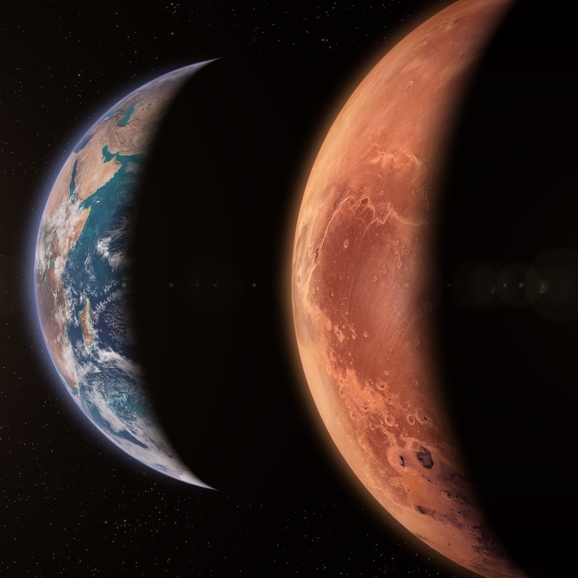 shutterstock-2432915169