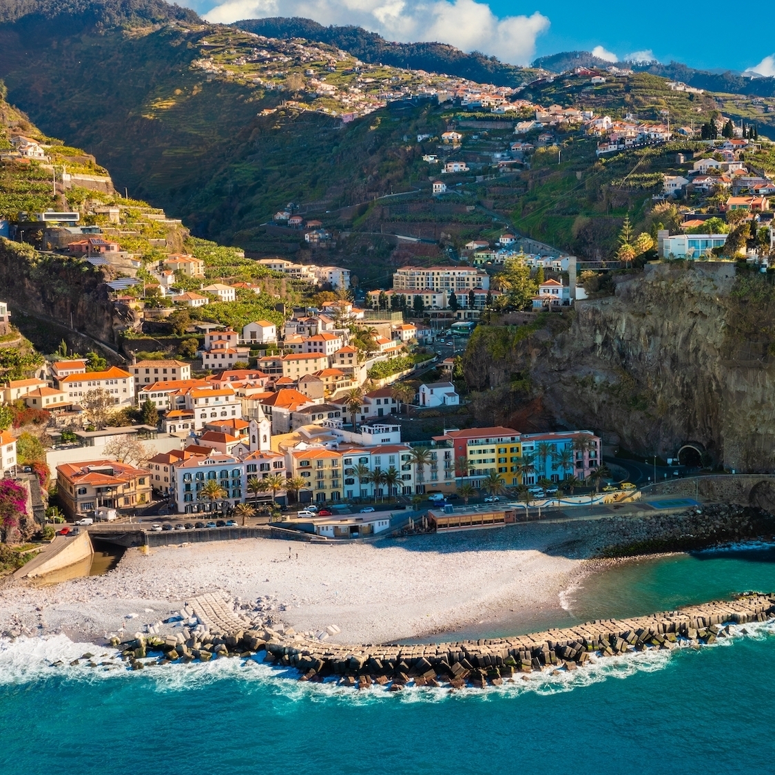 shutterstock-2492221983