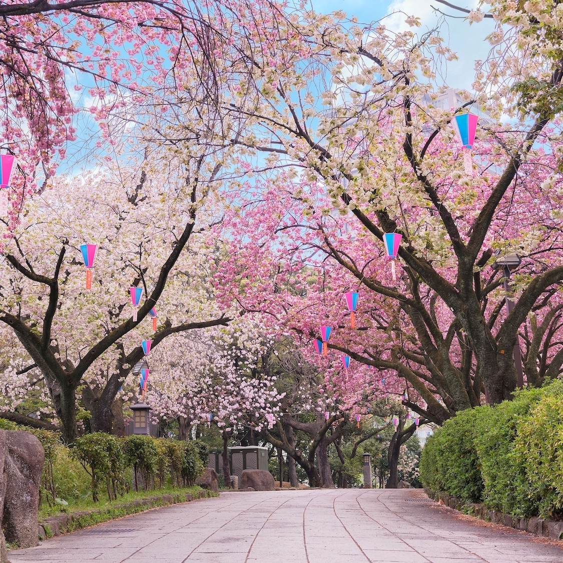 shutterstock-2395484753