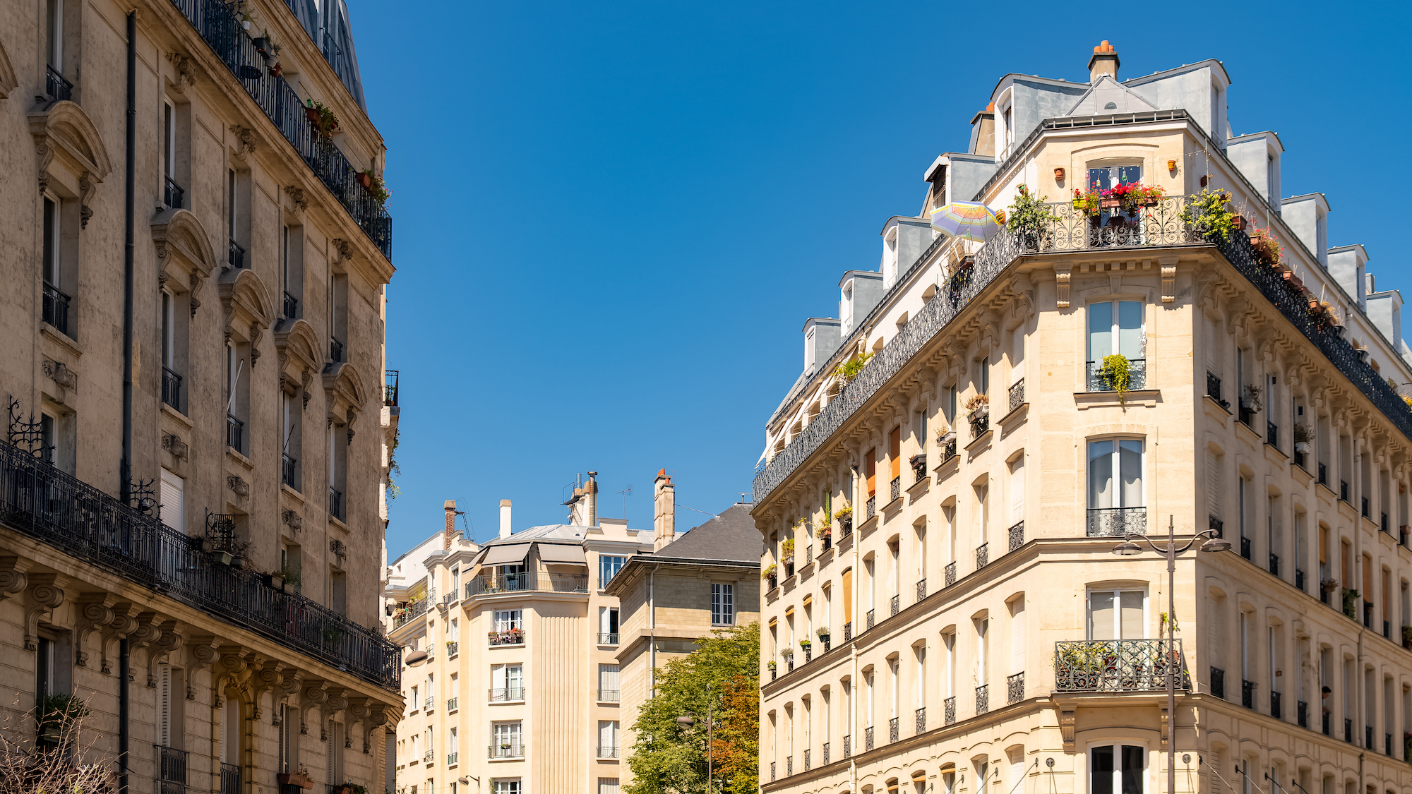 shutterstock-1799689156