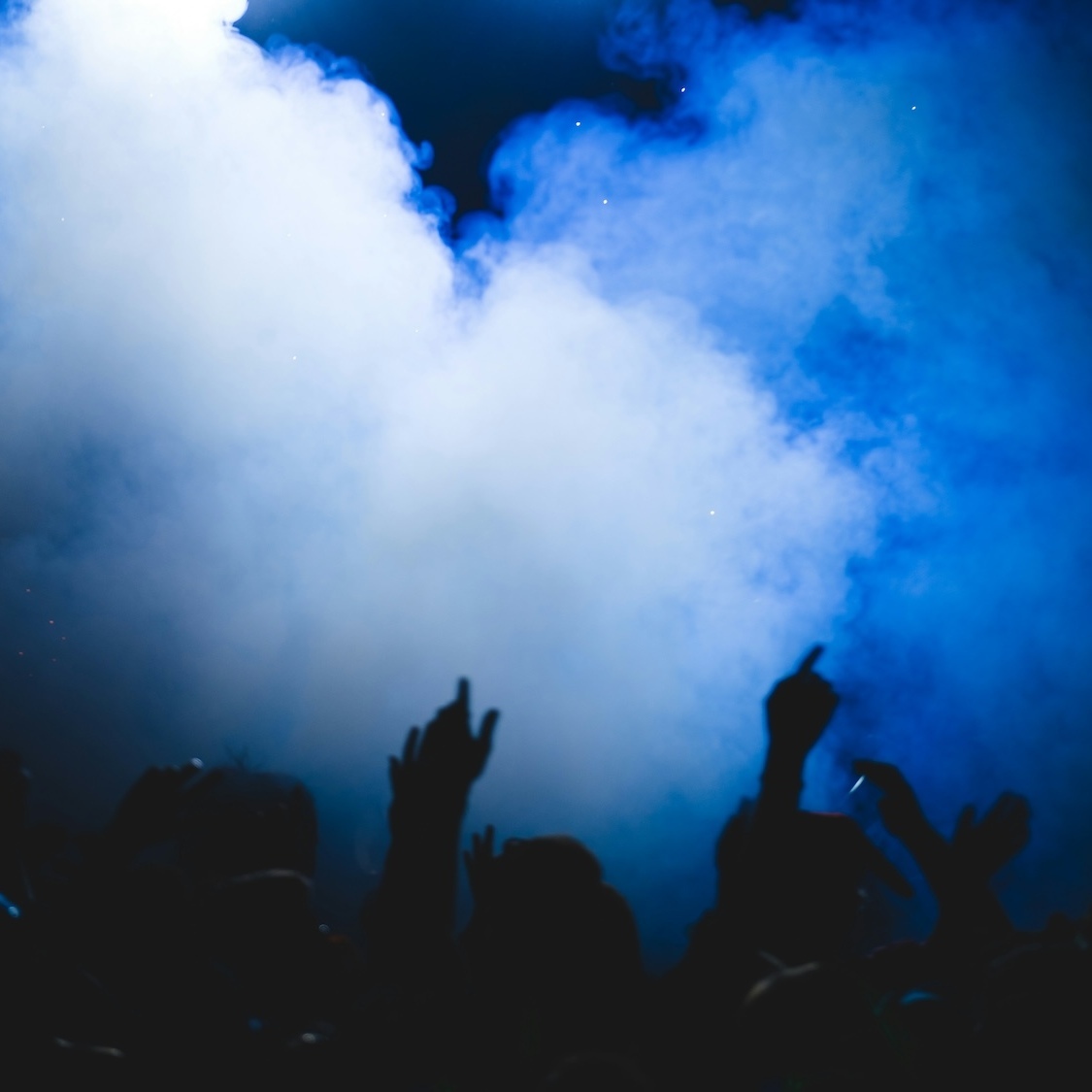 raphael-schaller-zbuvpw1wuiw-unsplash