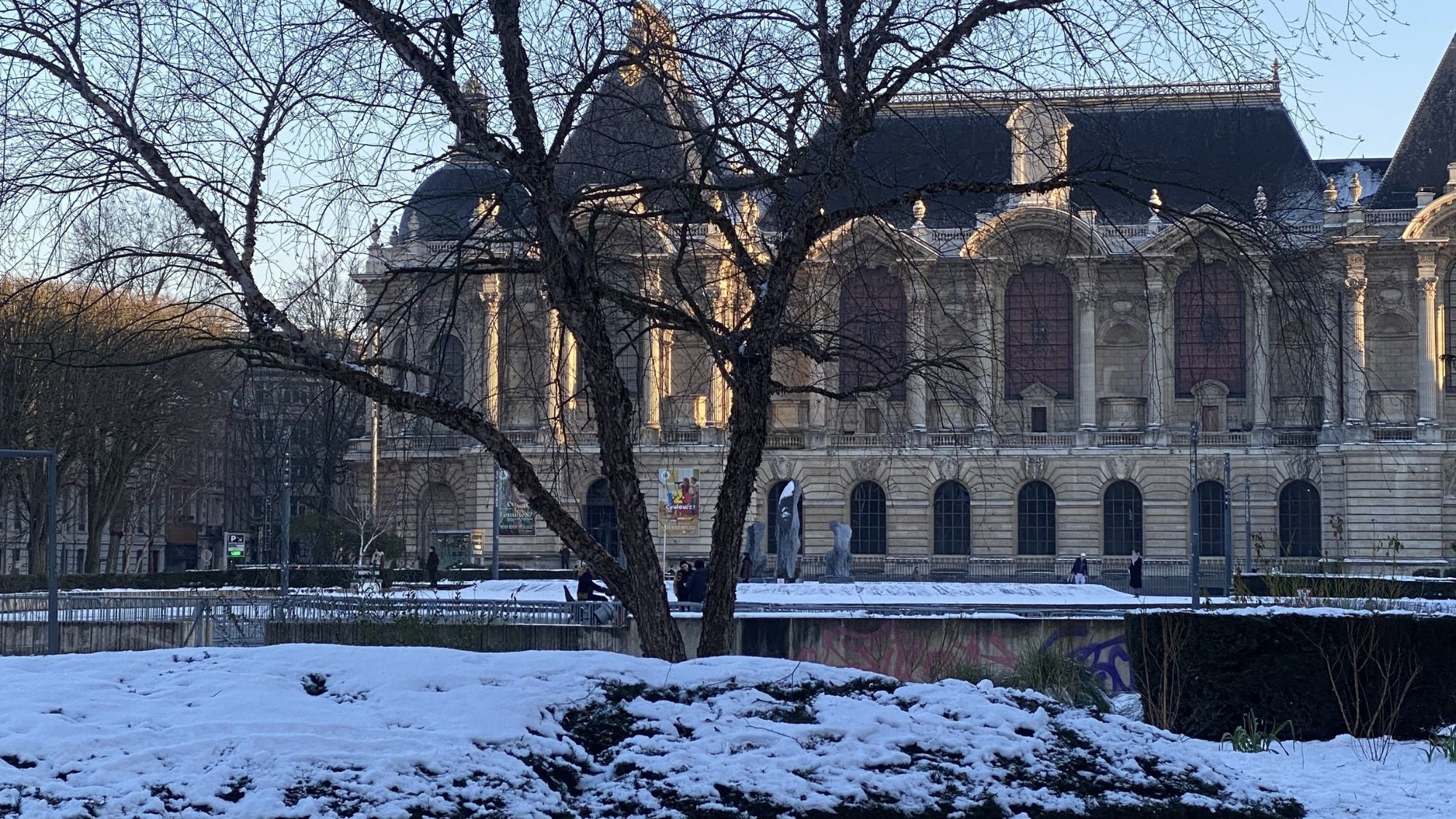 neige-republique-arbres