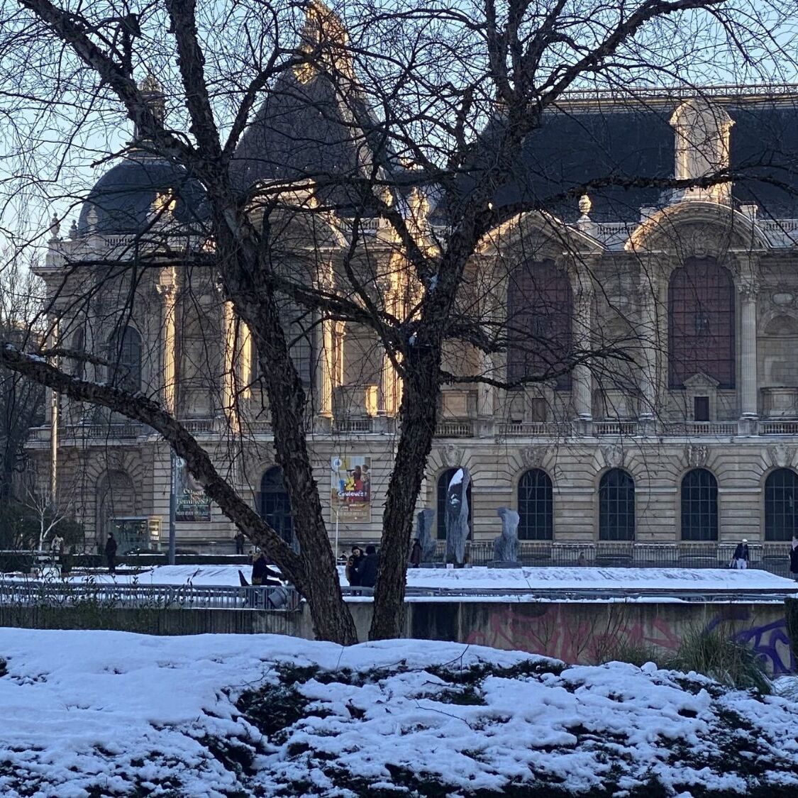 neige-republique-arbres