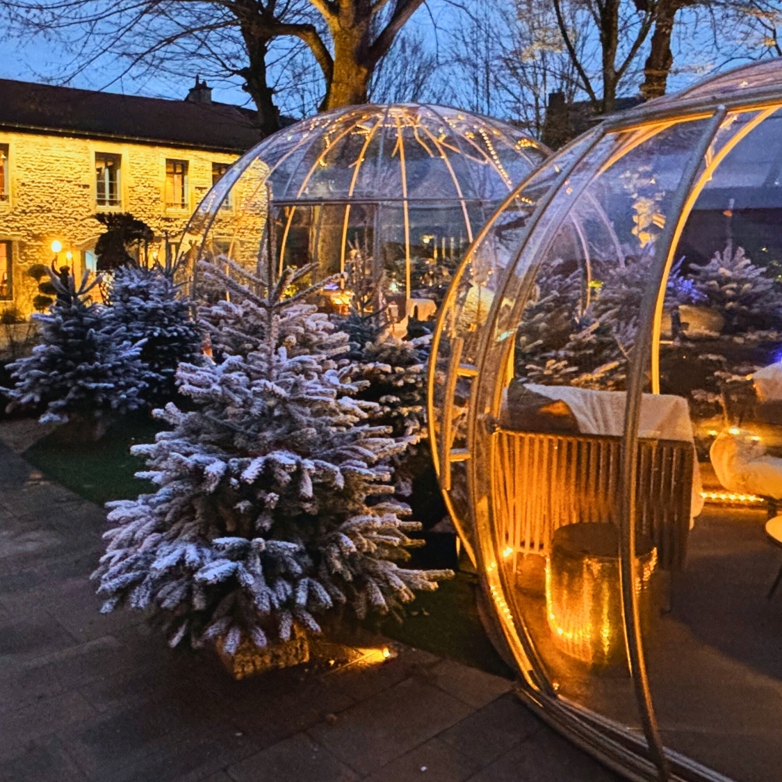 la-cloche-bulle-hiver