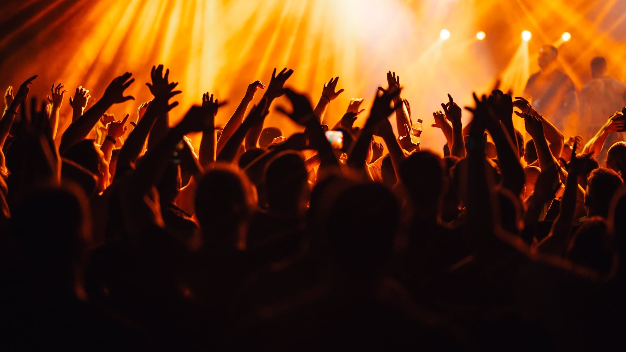 shutterstock-2412734515