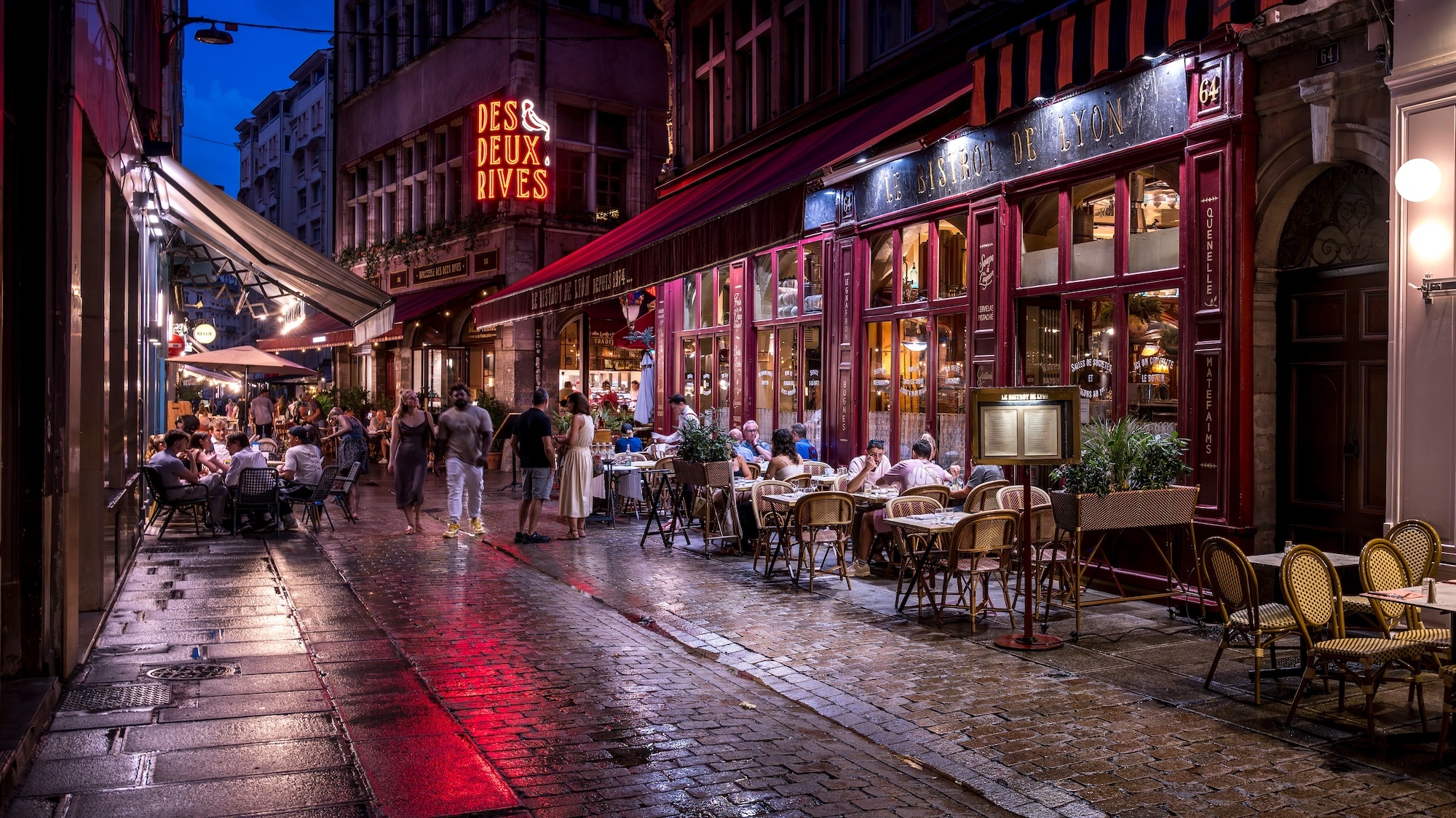 lyon-michel-pereshutterstock