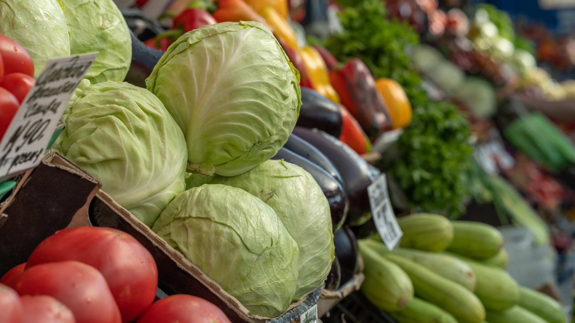 marche-vegan-bordeaux