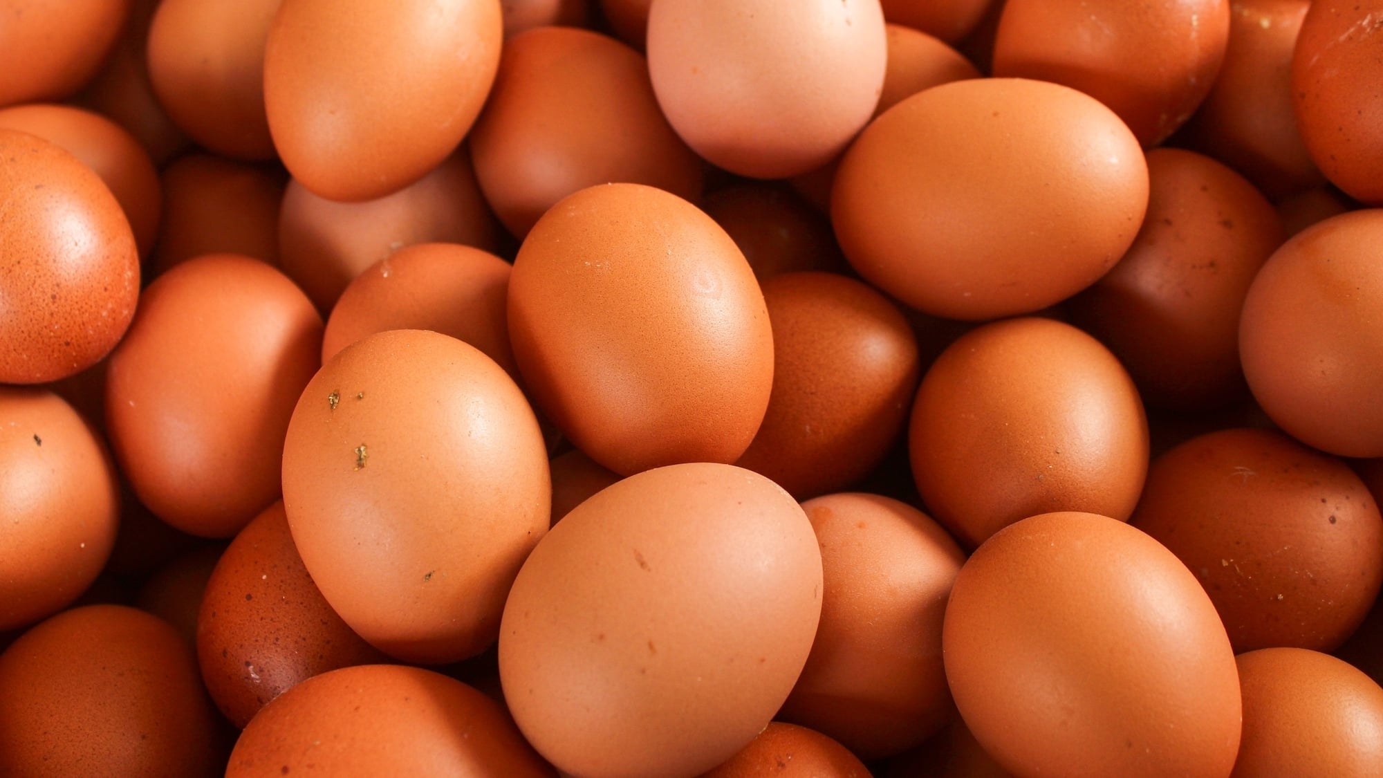 shutterstock-2559884667