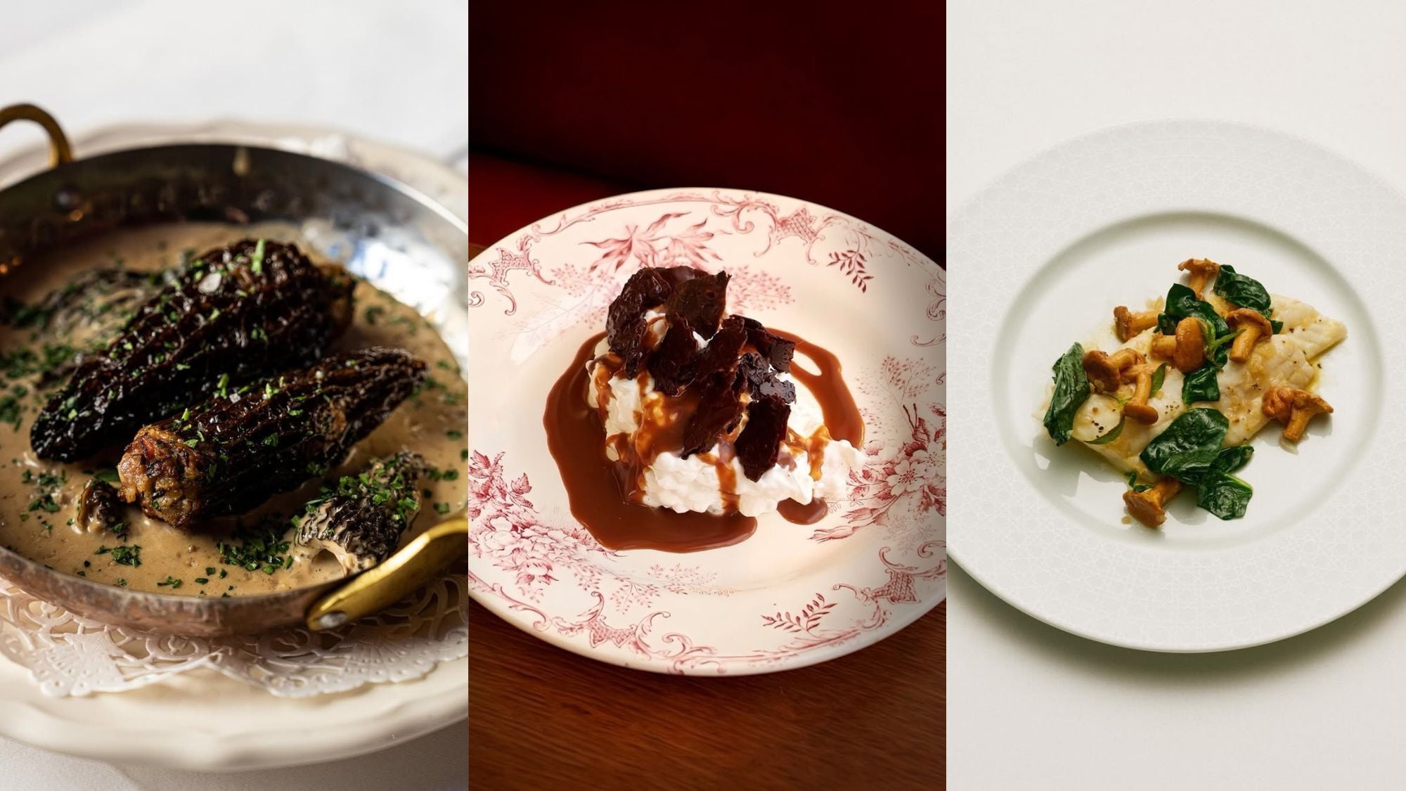 design-sans-titre-3-