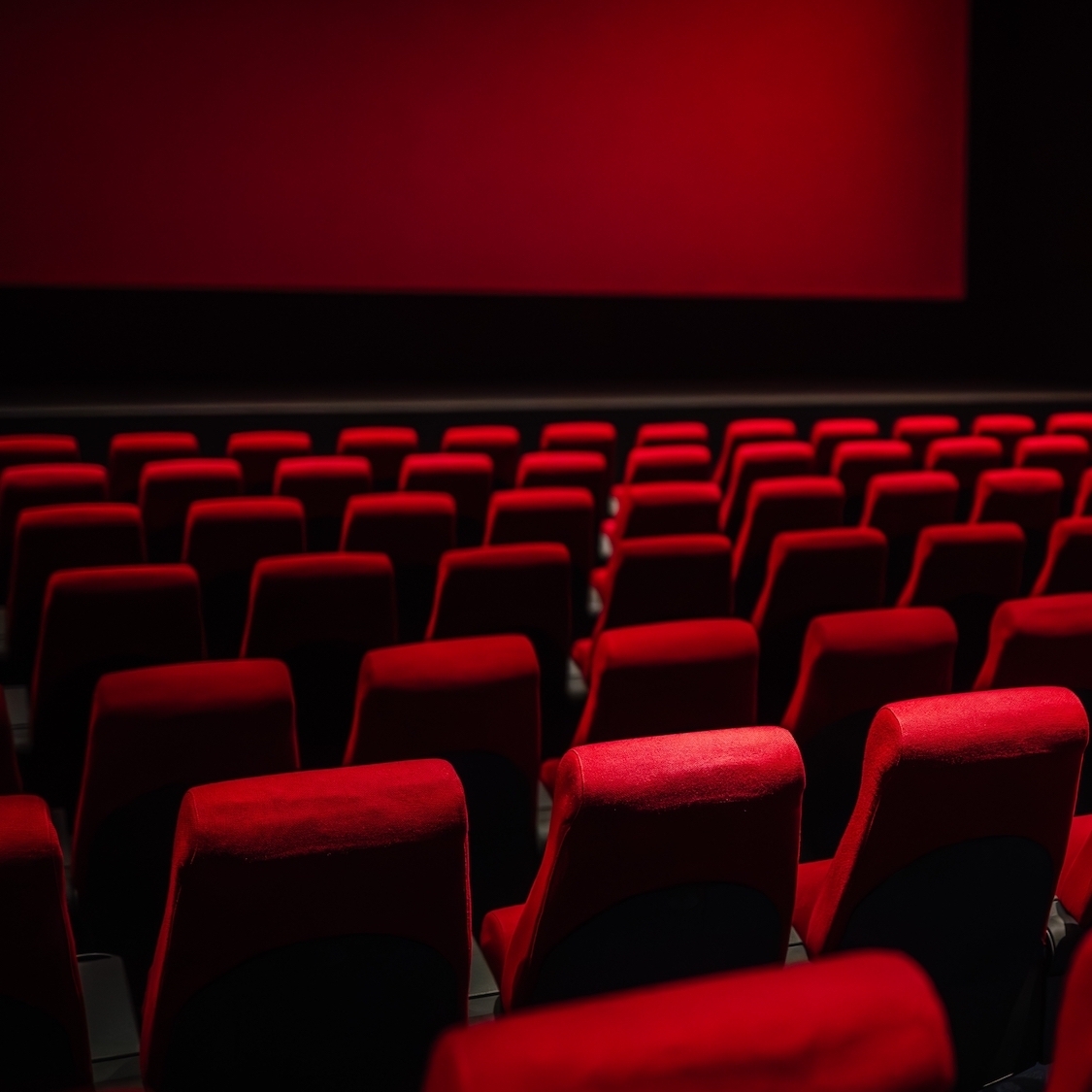 shutterstock-2456216509