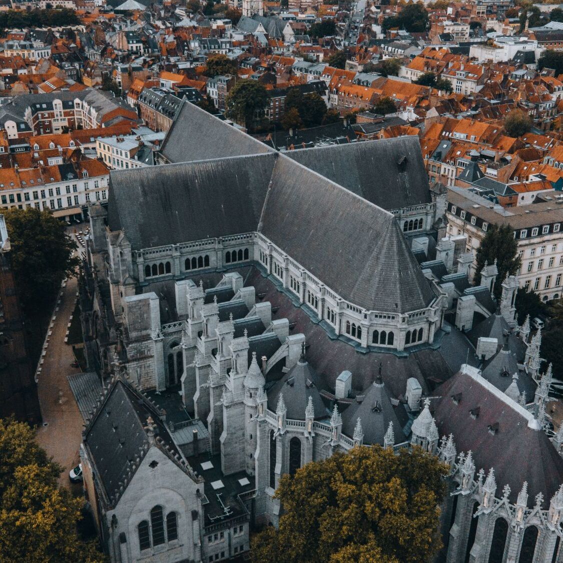 ville-cathedrale-toits-maisons