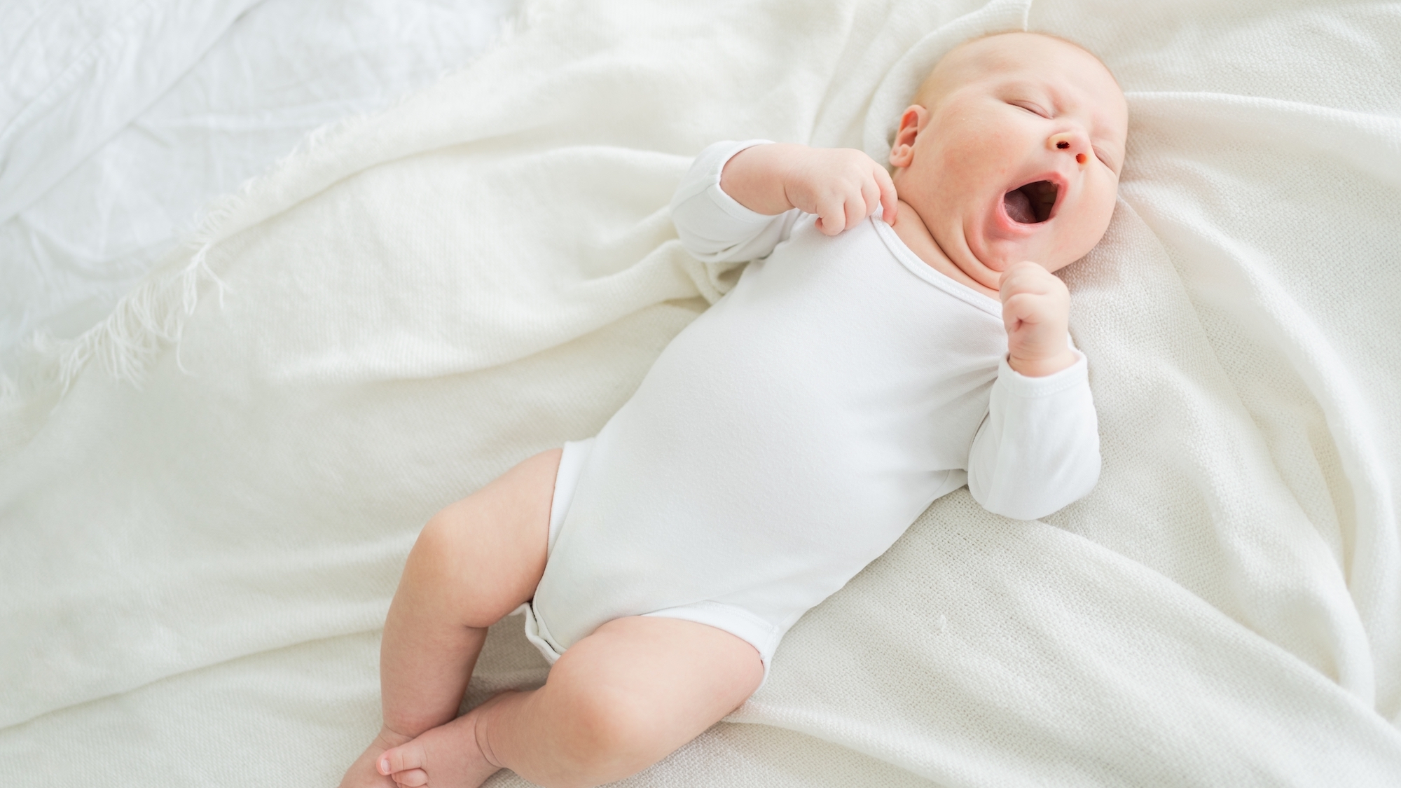 shutterstock-2577688377