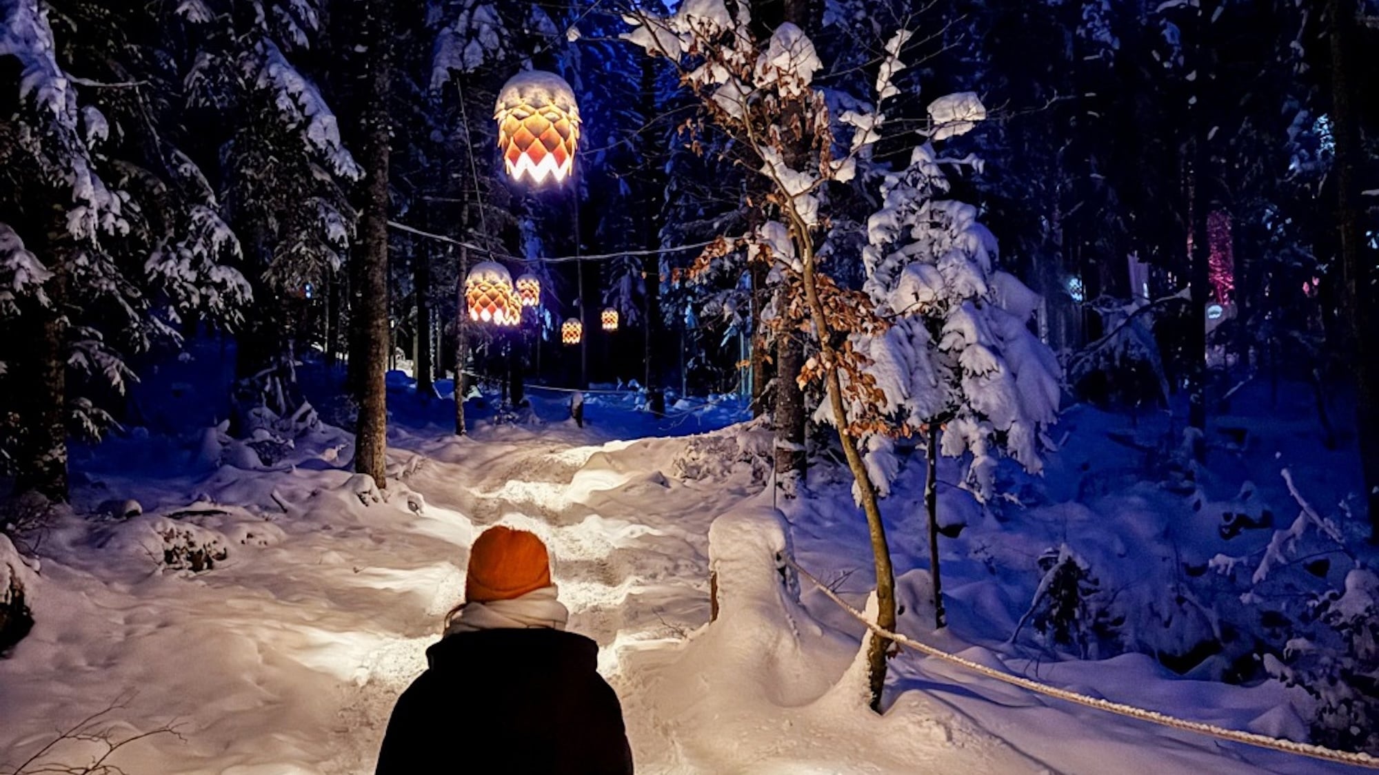 vercors-lumiere-parcours-immersif-foret-enchantee