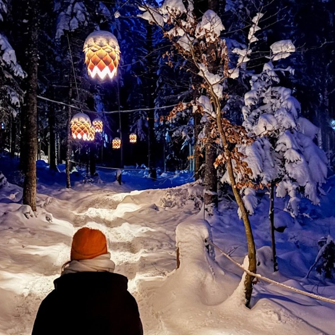 vercors-lumiere-parcours-immersif-foret-enchantee