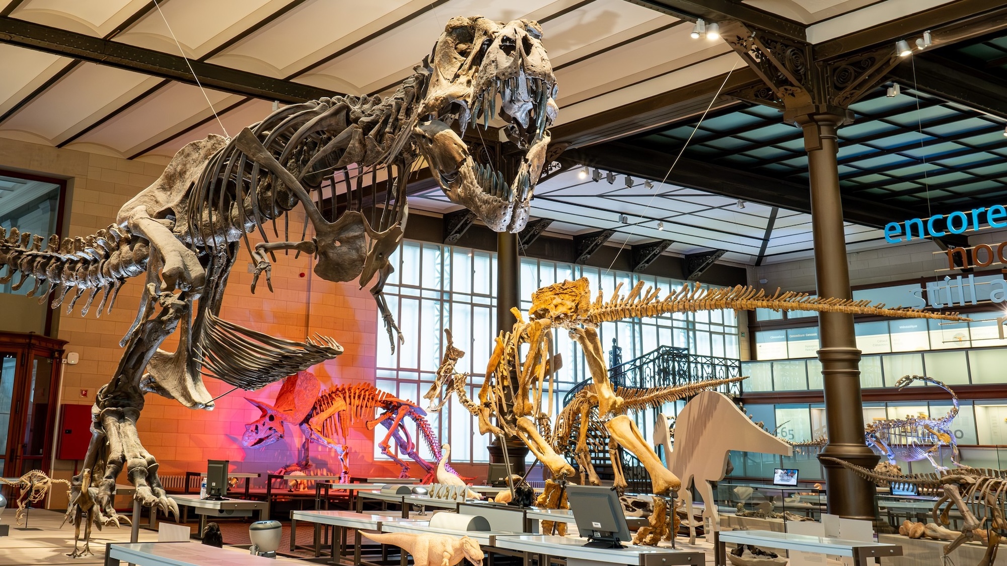 musee-bruxelles-dormir-dinosaures-geants
