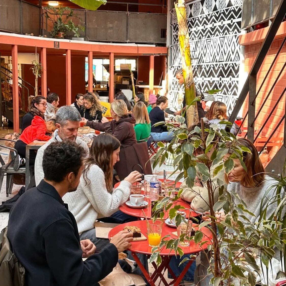 plantes-cafes-verres-gens