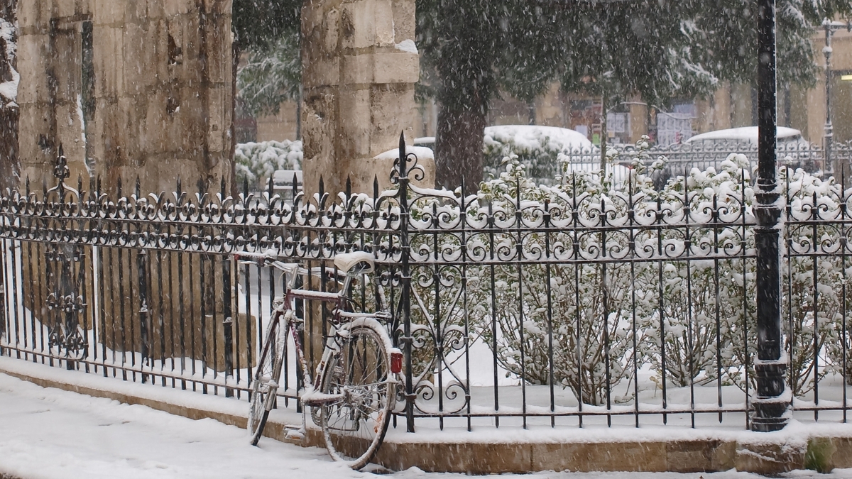 Dijon Experiences Extreme Temperature Swings: From -9°C to 38.8°C Dijon Experiences Extreme Temperature Swings: From -9°C to 38.8°C